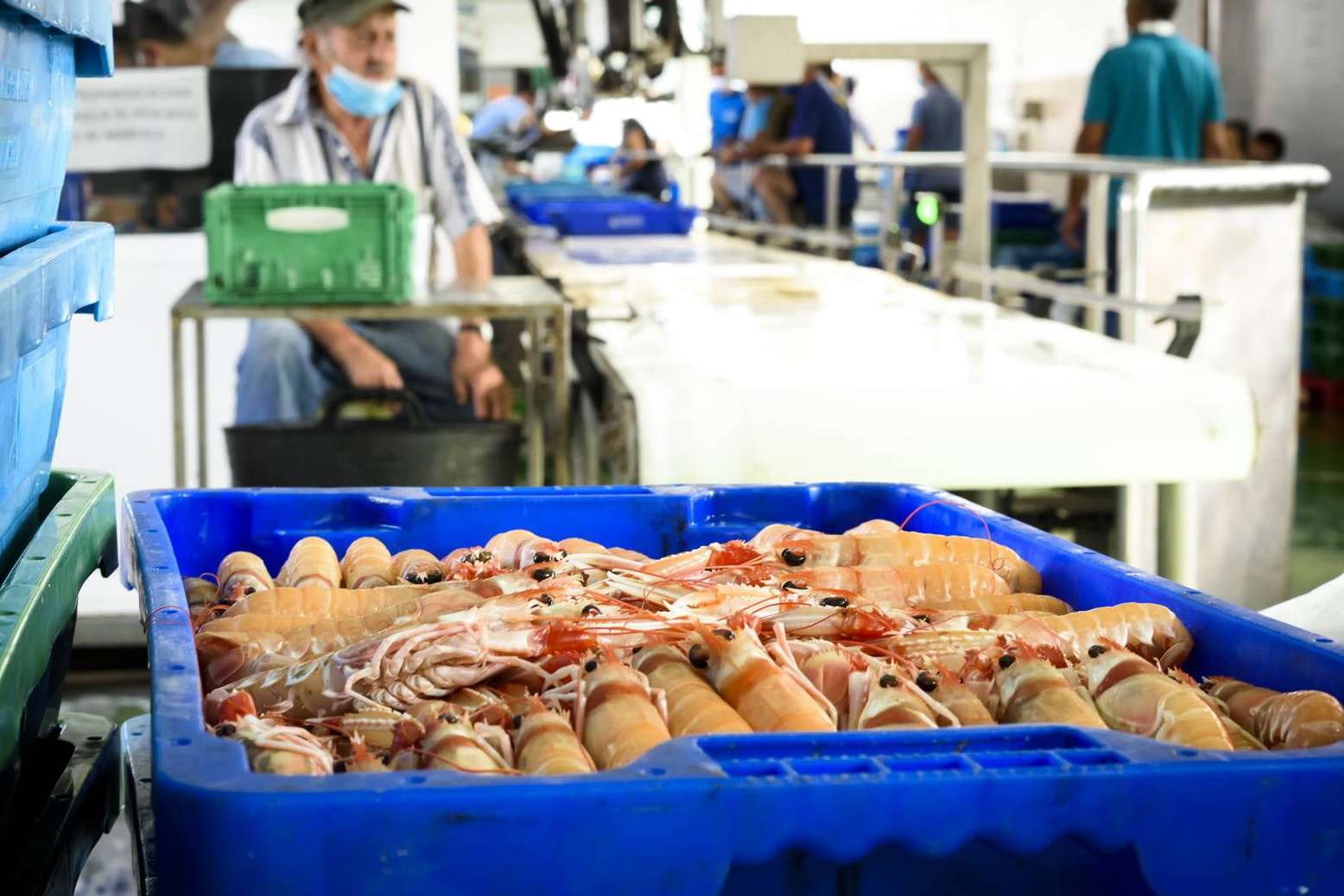 Consumir marisco fresco más delicioso, de la mano de Lonja de Ayamonte