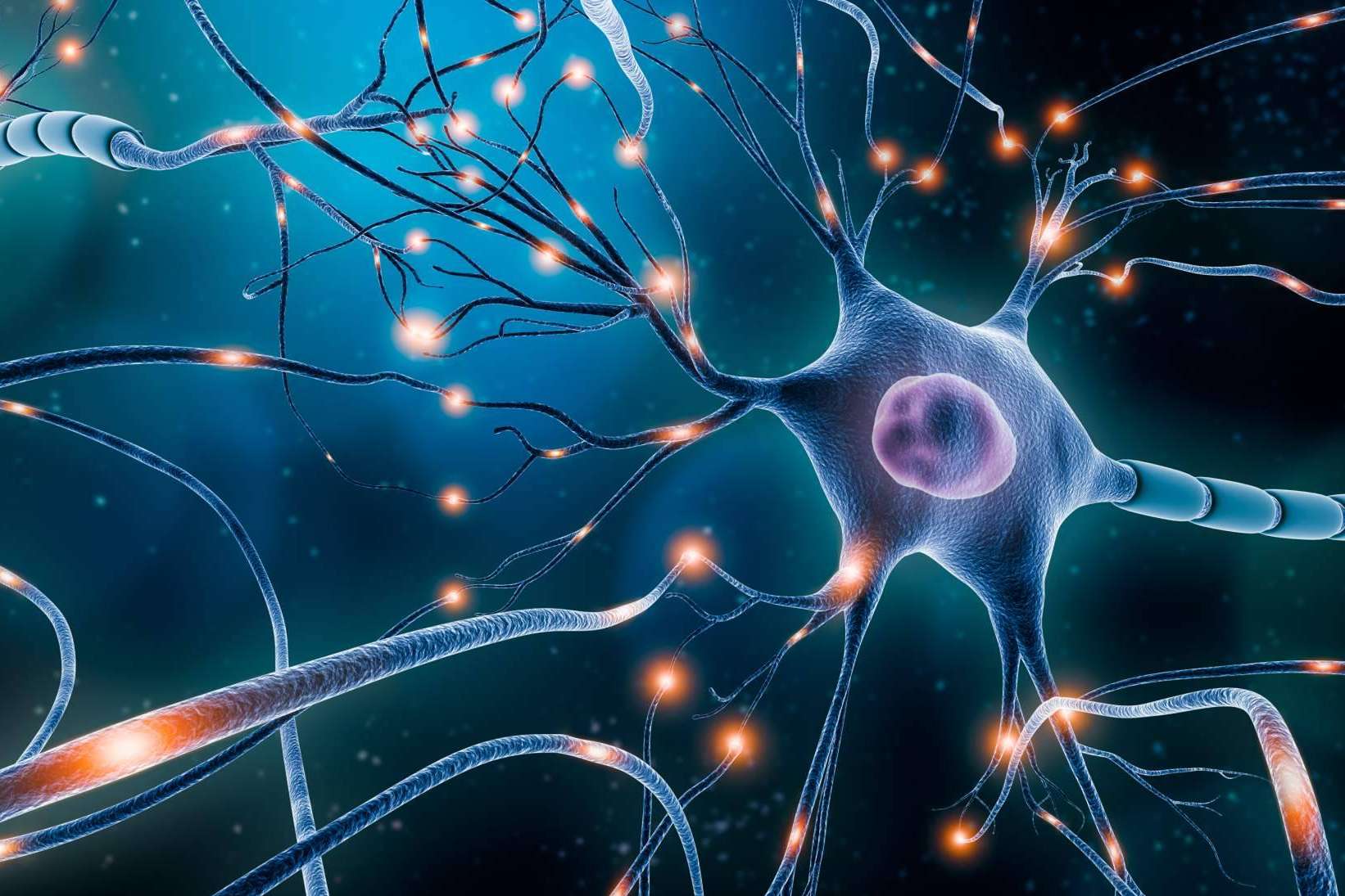 ANE International identifica cuáles son los mitos del neuromarketing