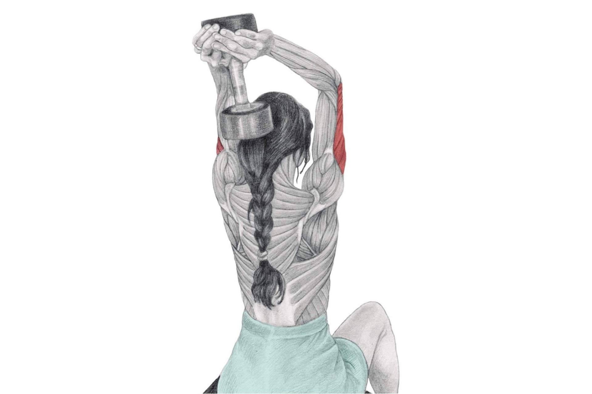 La enciclopedia de musculación de Óscar Morán, un referente a nivel mundial