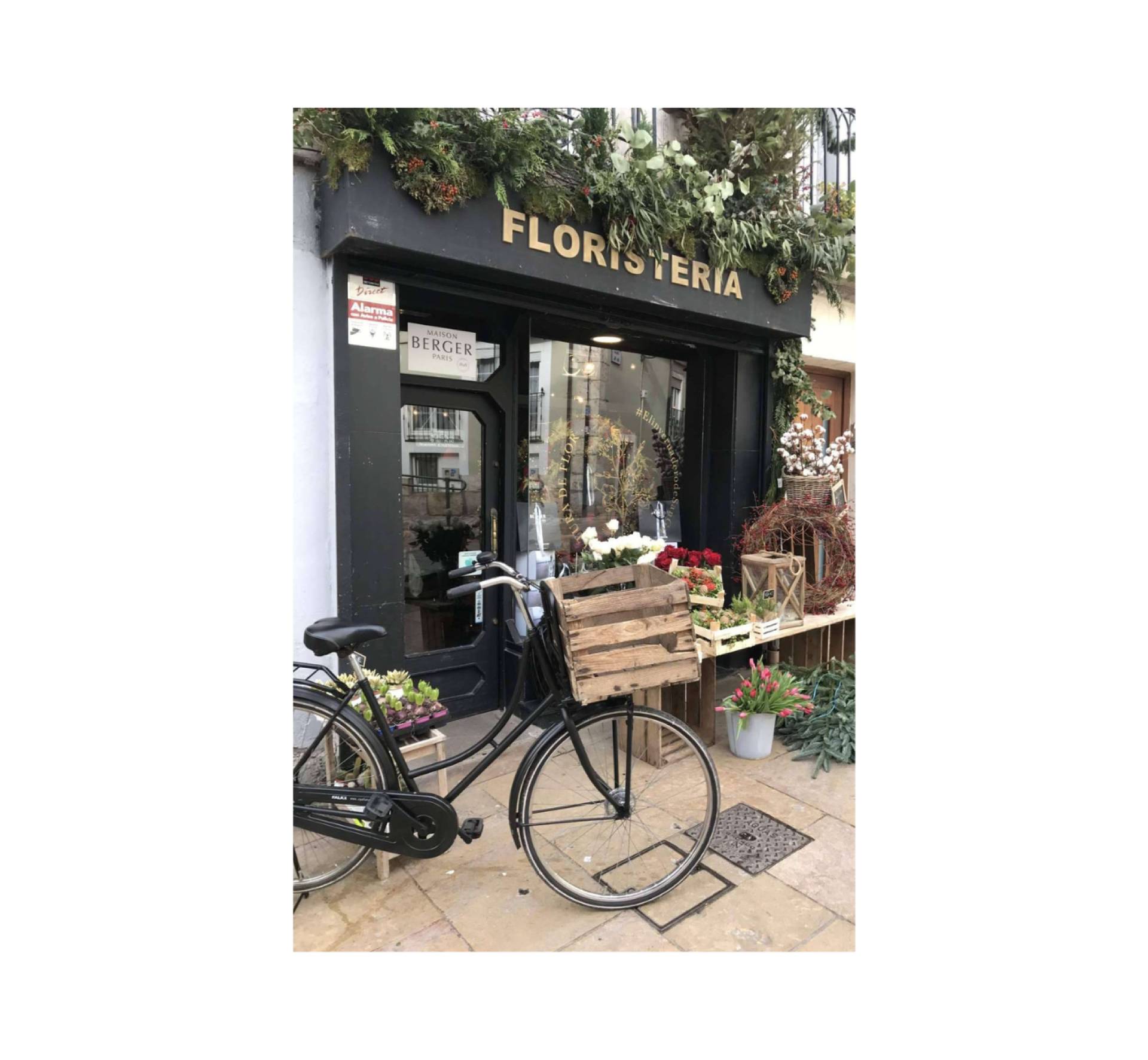 ¡Quiero una bici!, reacondicionamiento de bicis de segunda mano holandesas