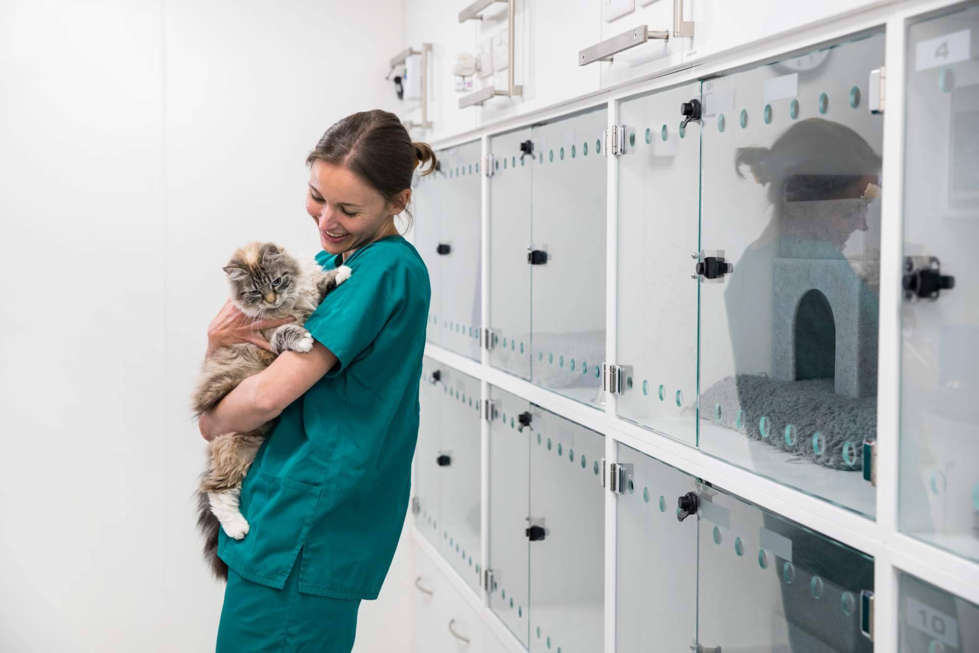 ¿Cuánto tiempo dura un curso de auxiliar de veterinaria?