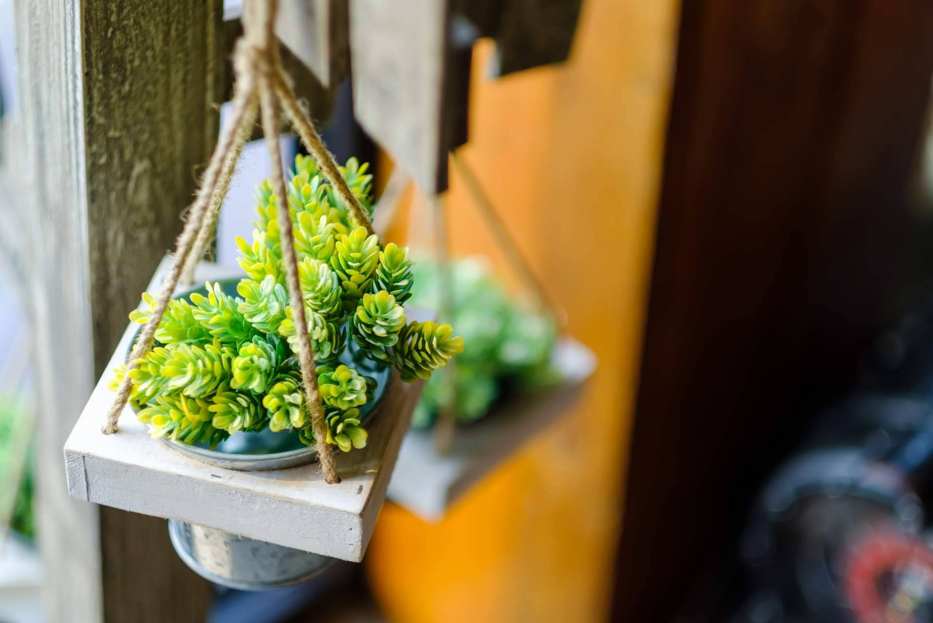 Decorar el hogar y darle un toque natural sin ocupar espacio con 7 plantas artificiales colgantes