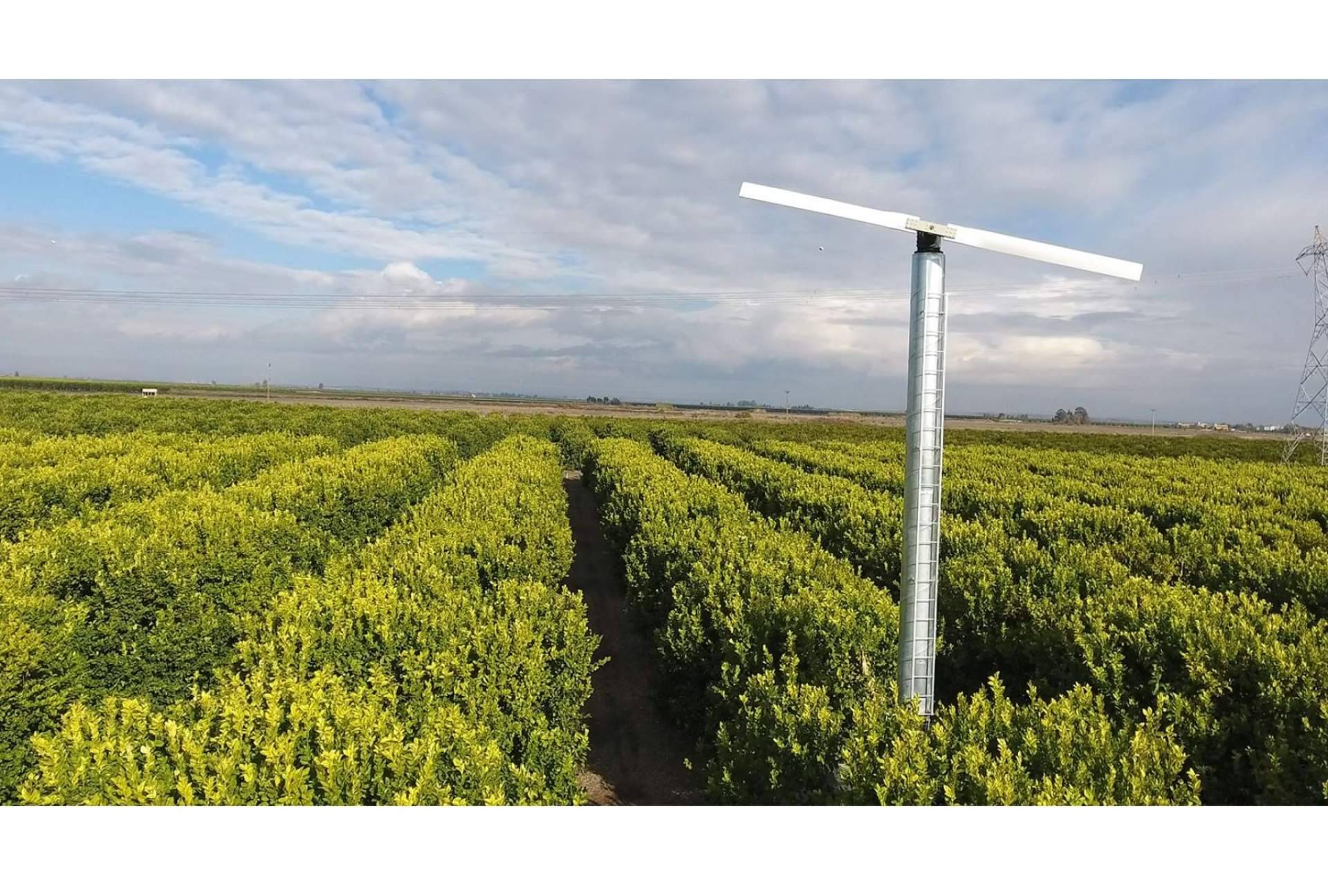 El funcionamiento de una torre antihelada en un campo de cítricos