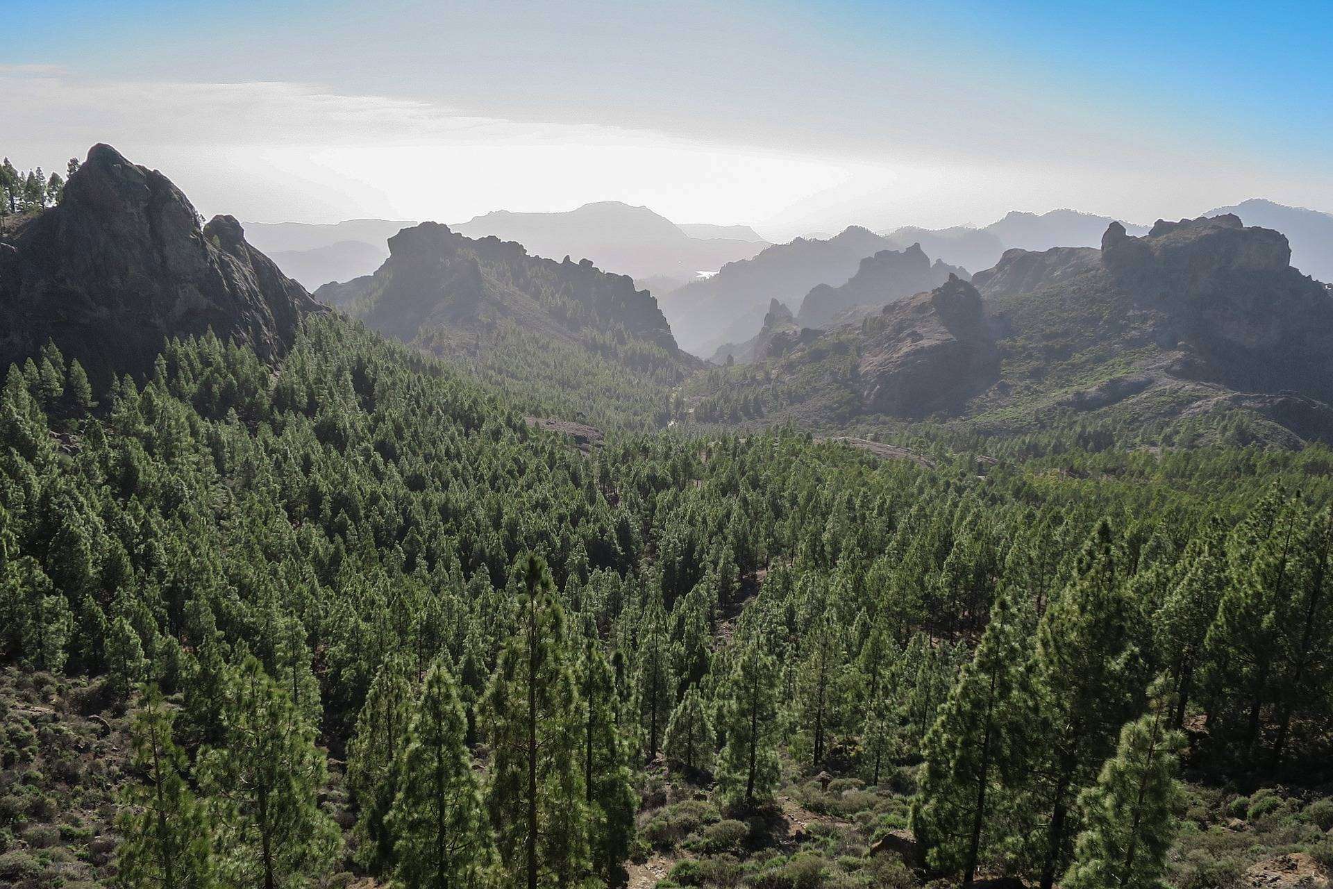 Disfrutar de unas vacaciones en Gran Canaria en cualquier época del año, con ISholidays.com