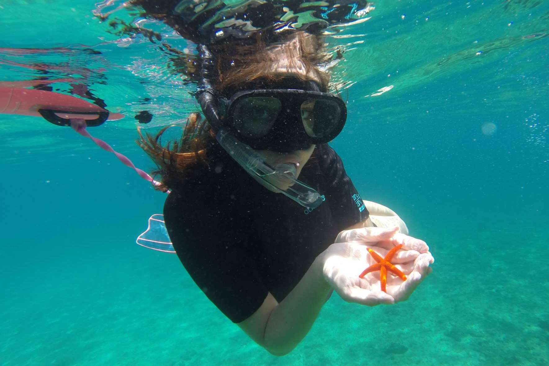 Conocer Marsella con las excursiones para cruceros que ofrece Planetazur Experiences