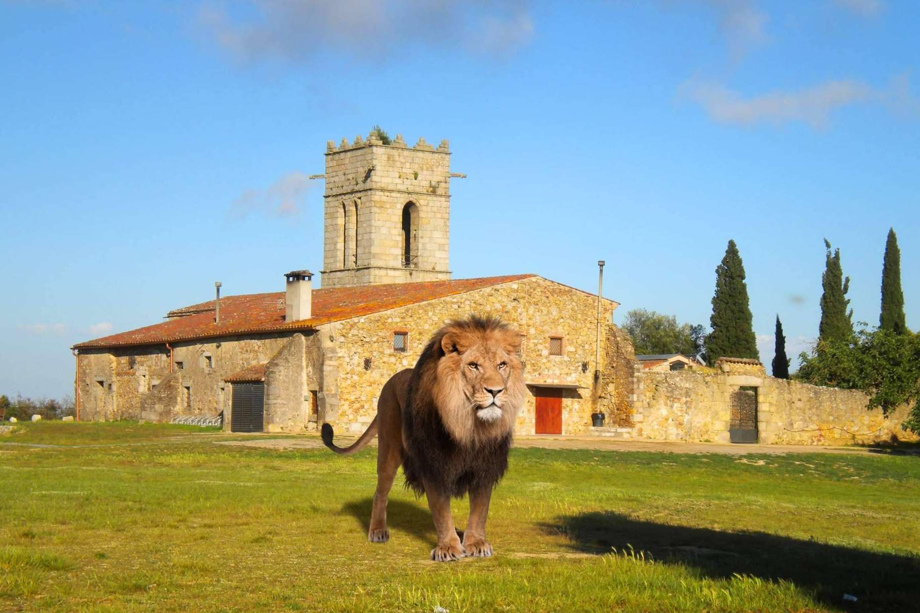 El zoo virtual es ‘real’