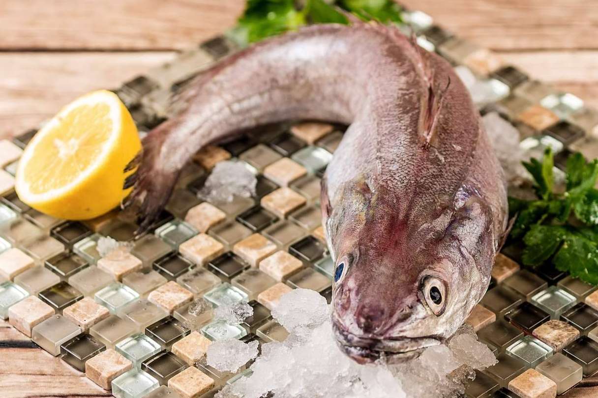¿Cuáles son las últimas novedades del pescado de lonja de Lonja de Ayamonte?
