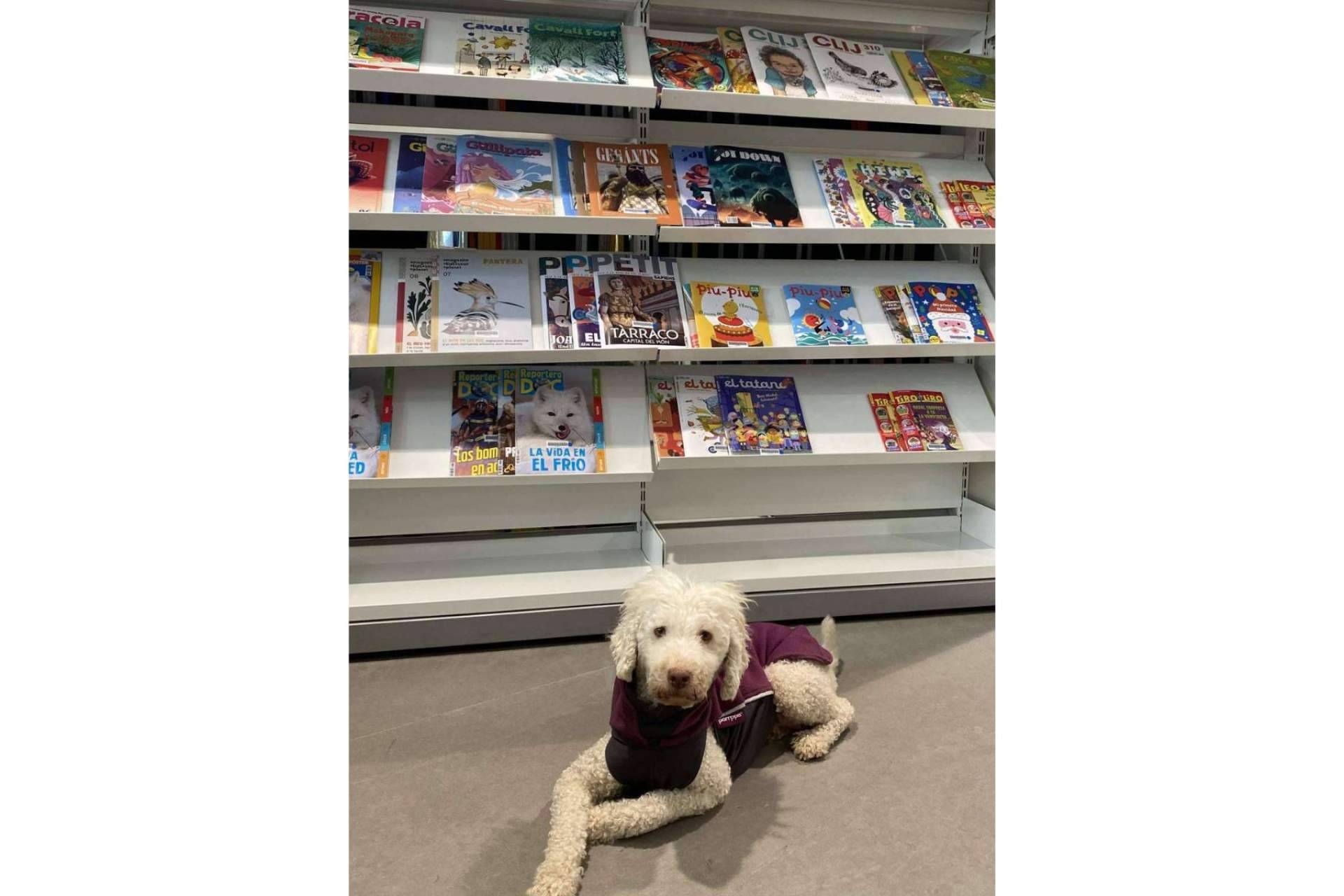 L'Almozara Can Bosc habla del nuevo curso de educación canina entre semana a partir del lunes 13 de marzo
