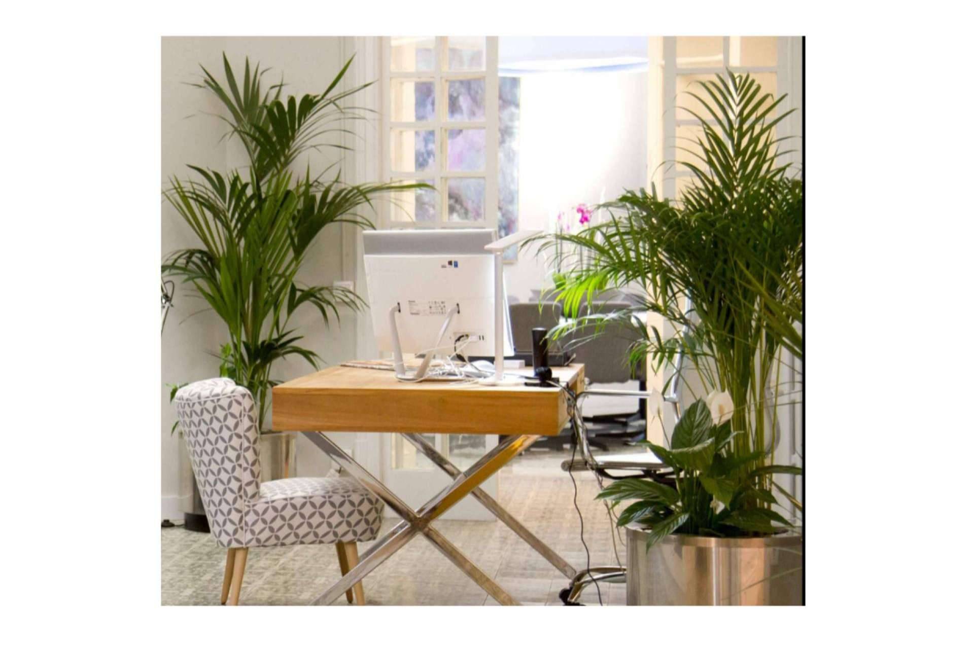 WEKOW, espacios de coworking cómodos y económicos