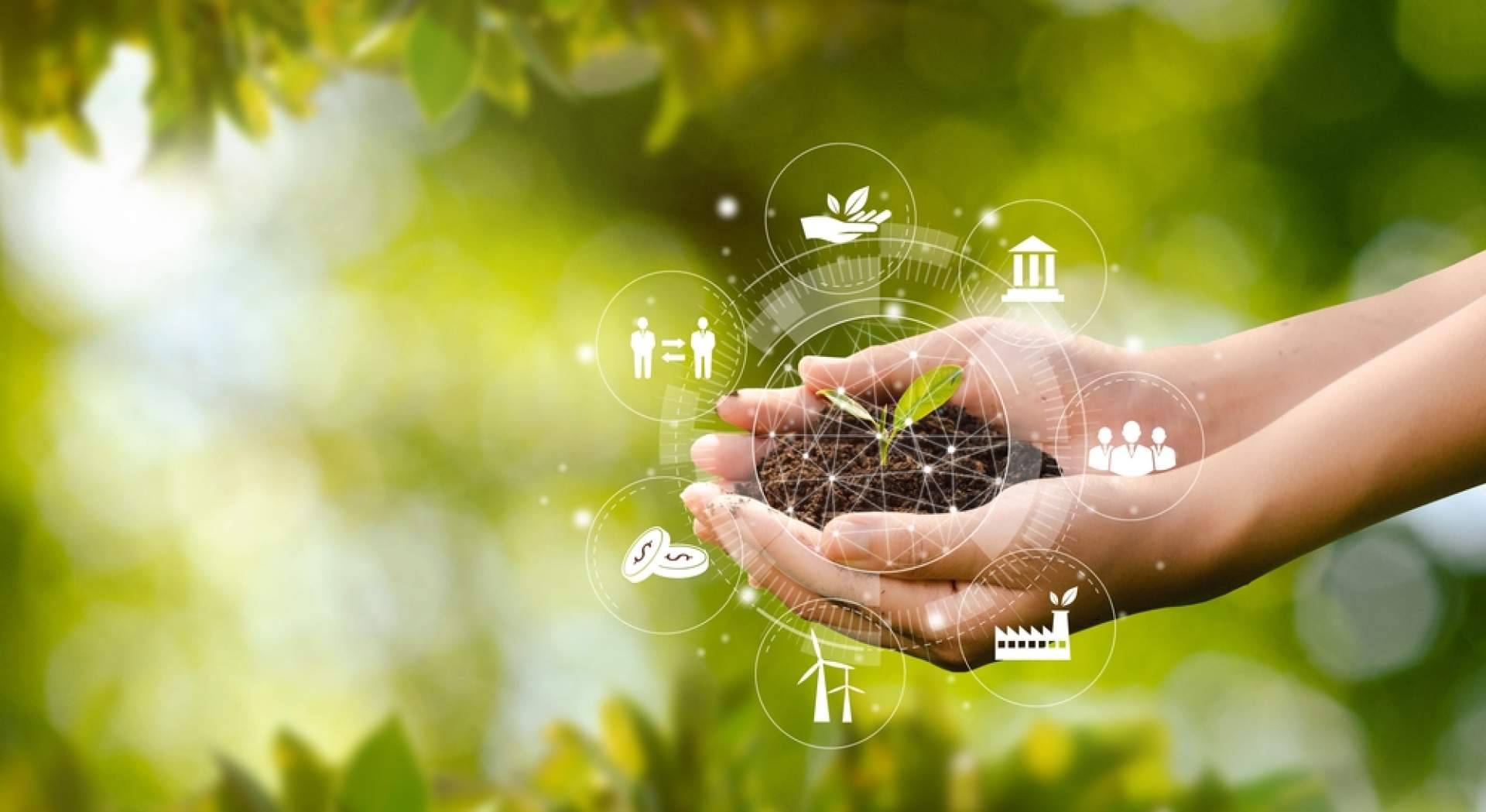 Fitovademécum es un espacio en el que conocer la normativa de los productos fitosanitarios