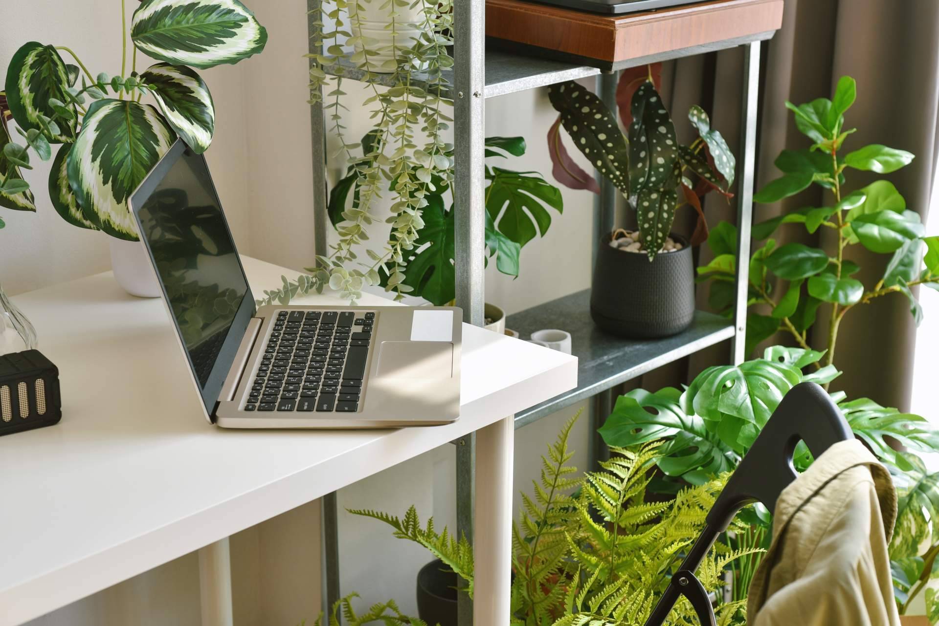 ¿Adiós a las plantas naturales? Descubrir por qué las plantas artificiales decorativas son la nueva tendencia en el hogar