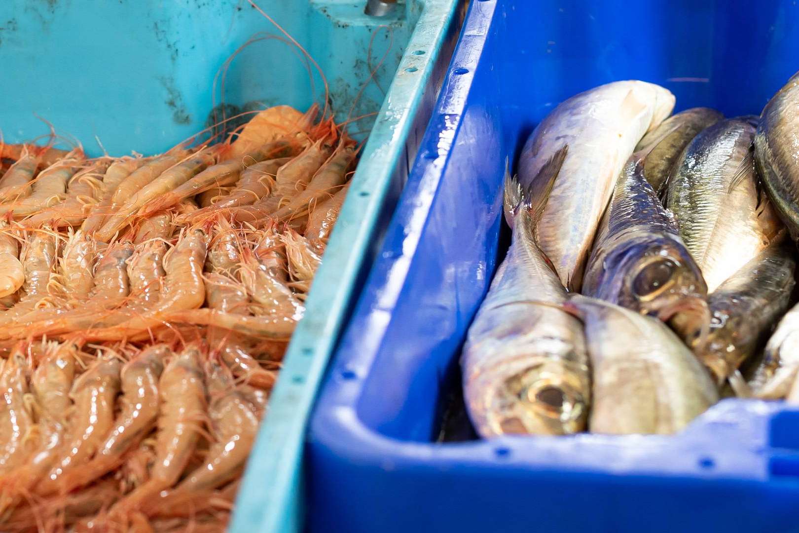 Lonja de Ayamonte se dedica a la venta de pescados y mariscos frescos