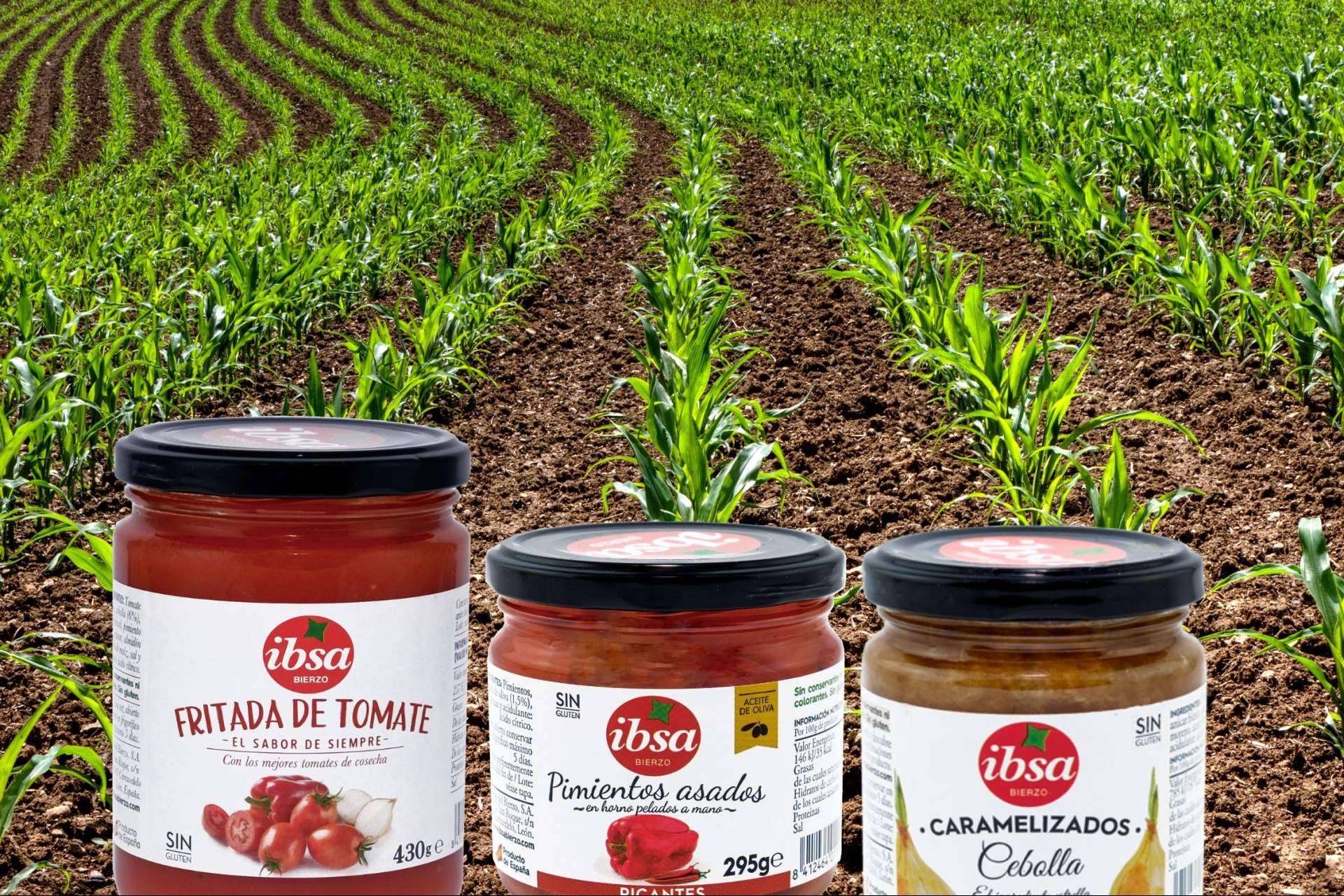 Las conservas vegetales claves para una alimentación saludable, de la mano de IBSA