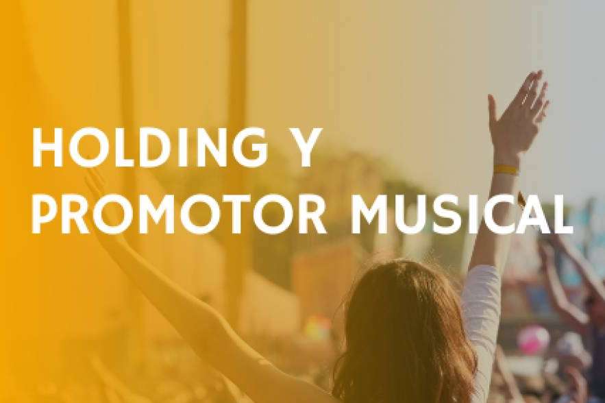 ¿Por qué los promotores musicales necesitan una estructura holding?