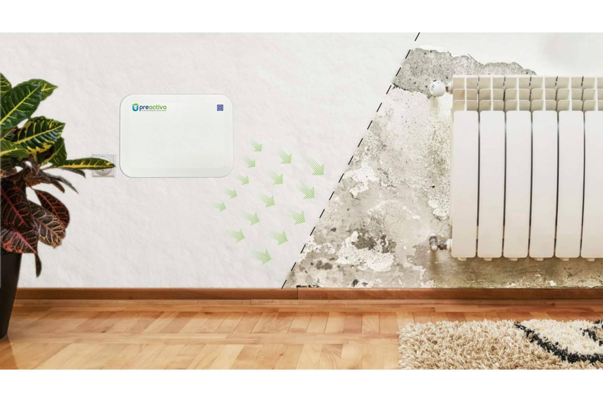 Servicio especializado para quitar la humedad de la pared, con Preactiva