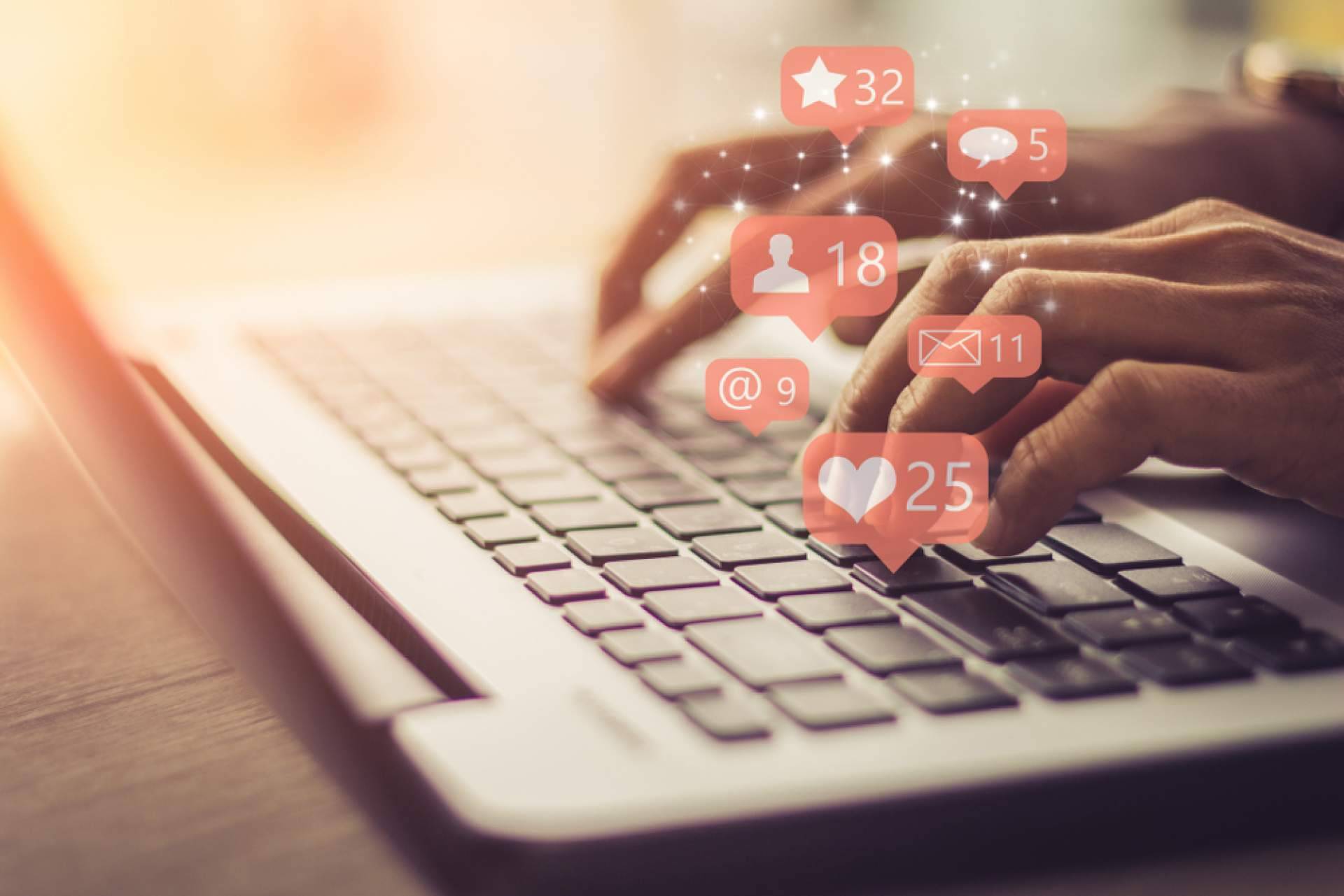La agencia digital, Wolf Agency, experta en estrategias de marketing y SEO en España e Italia