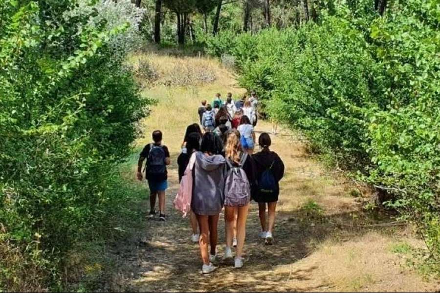 ¿Qué se debe saber sobre los campamentos de verano 2023 de Aula Joven?