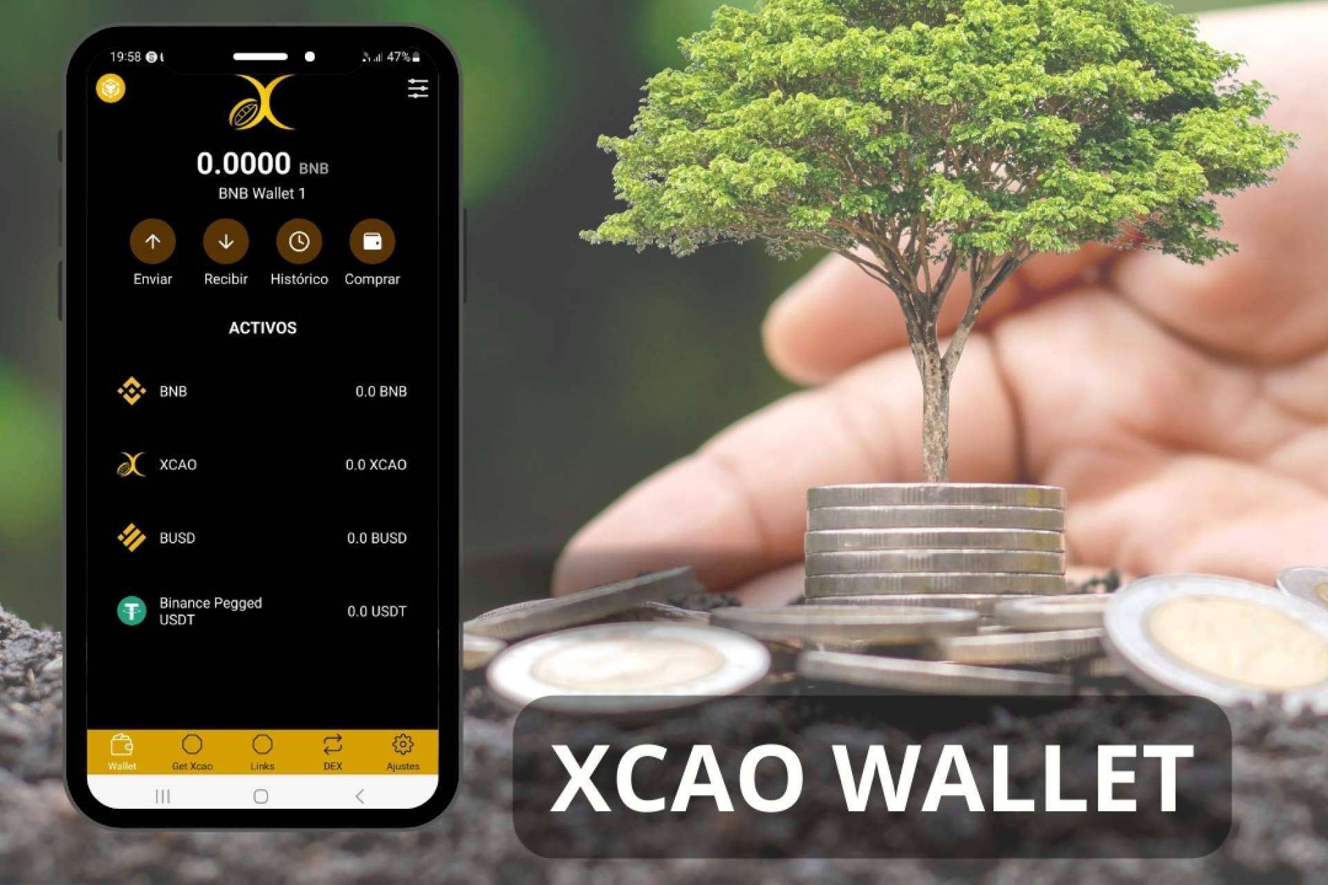 Xcao System Group crea el activo digital NFTS Xcao