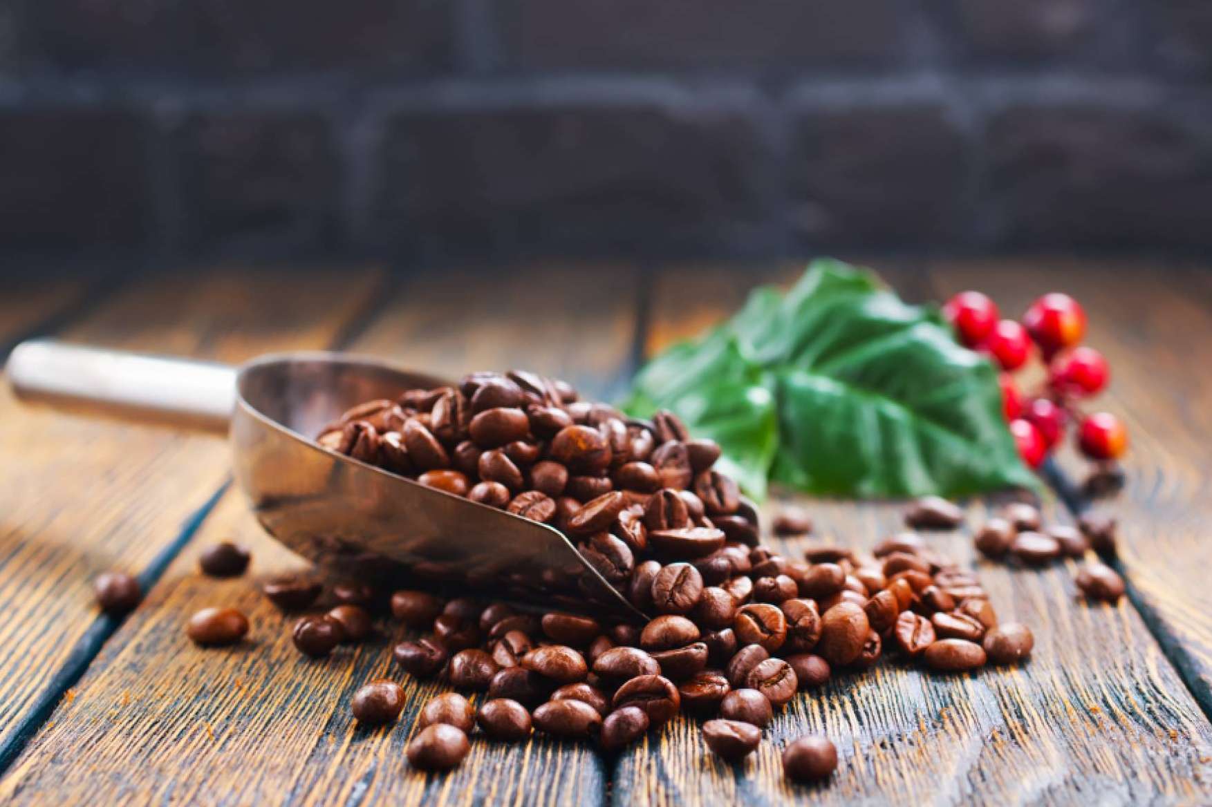 Bocca della Verità sobre las características de su café en grano