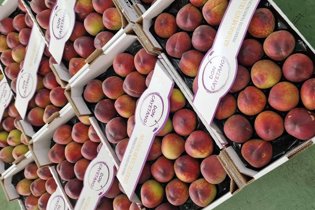 El servicio de Frutas Don Cayetano, exportadores de frutas de hueso