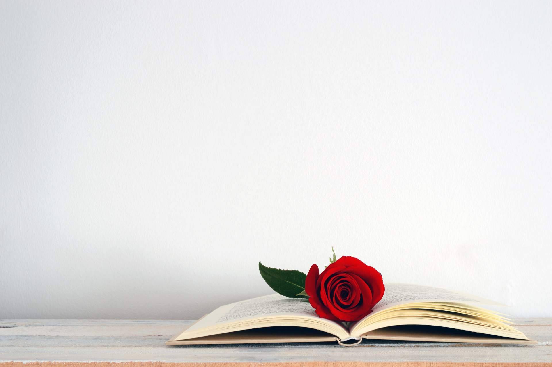 ¿Cómo nació la tradición catalana de las rosas y los libros de Sant Jordi?