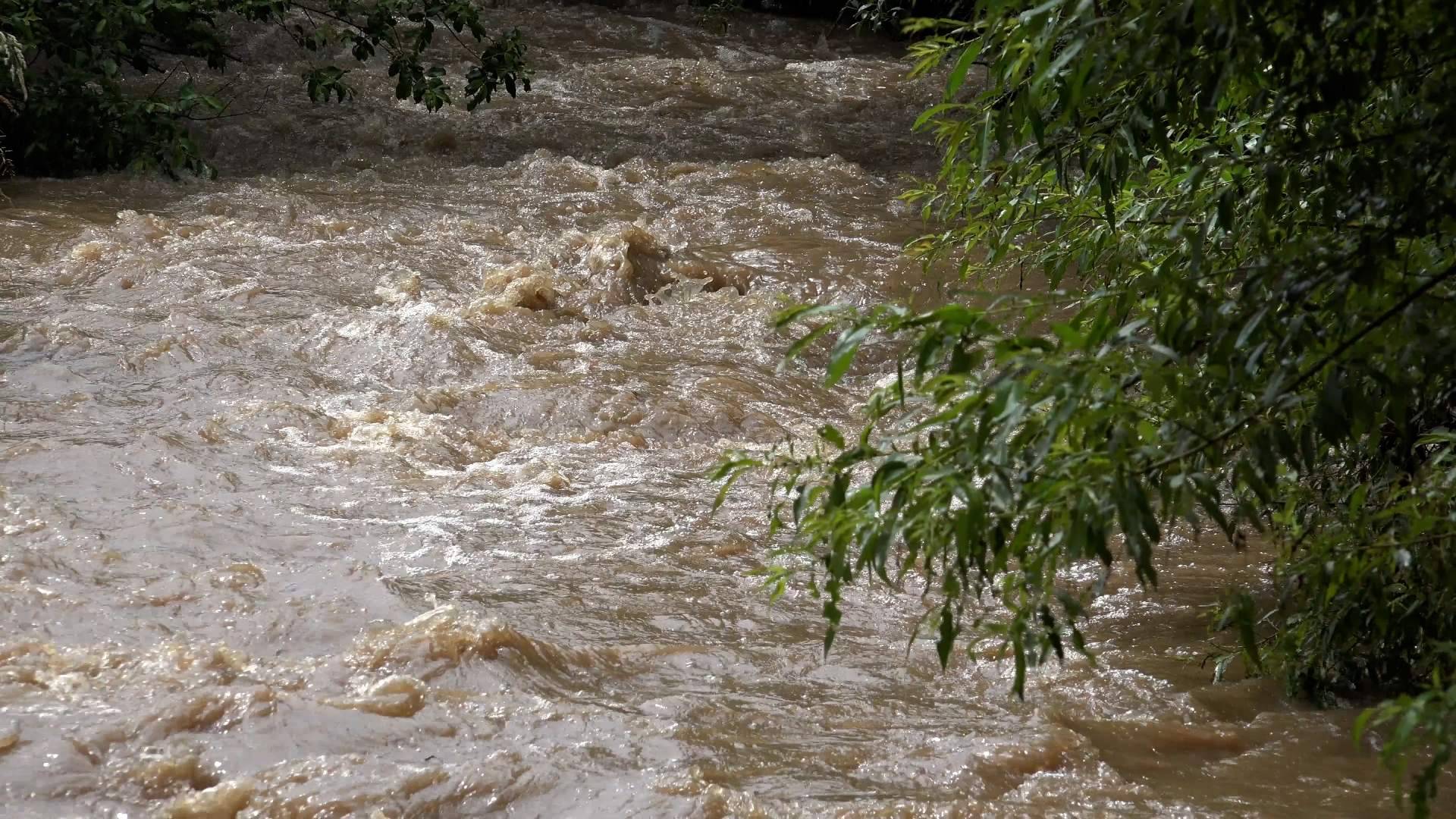 Las características de El Niño y los principales motivos por los cuales los expertos están hablando de él, de la mano de Noticias Ambientales
