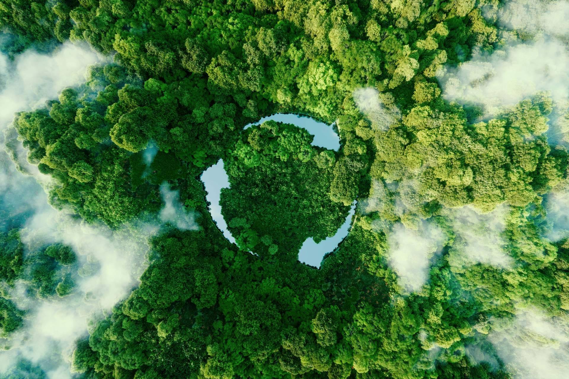 La plataforma especialista en noticias sobre sustentabilidad, Noticias Ambientales