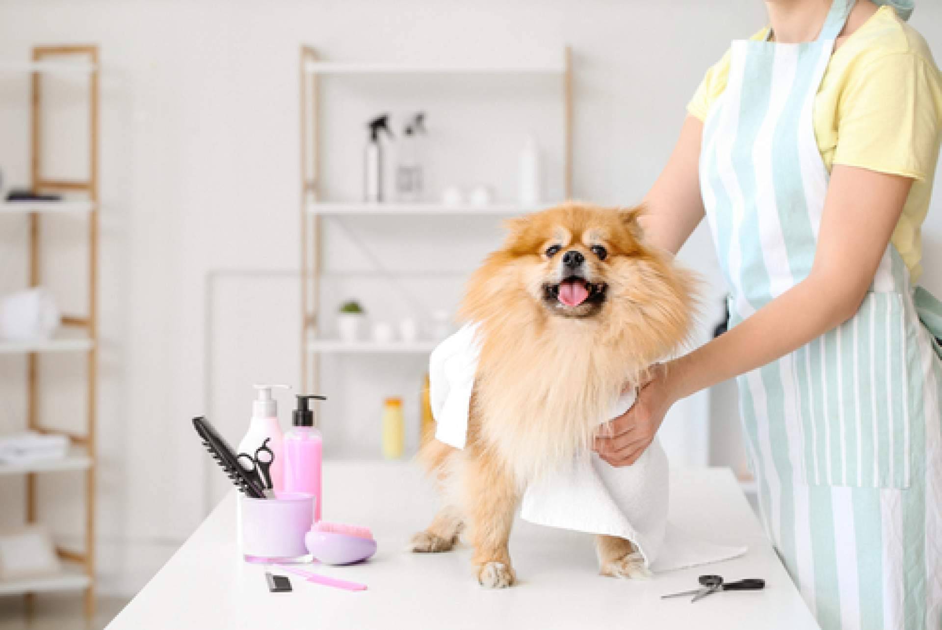 4Huellas, el distribuidor de la marca de productos de cosmética para peluquerías caninas Yuup!