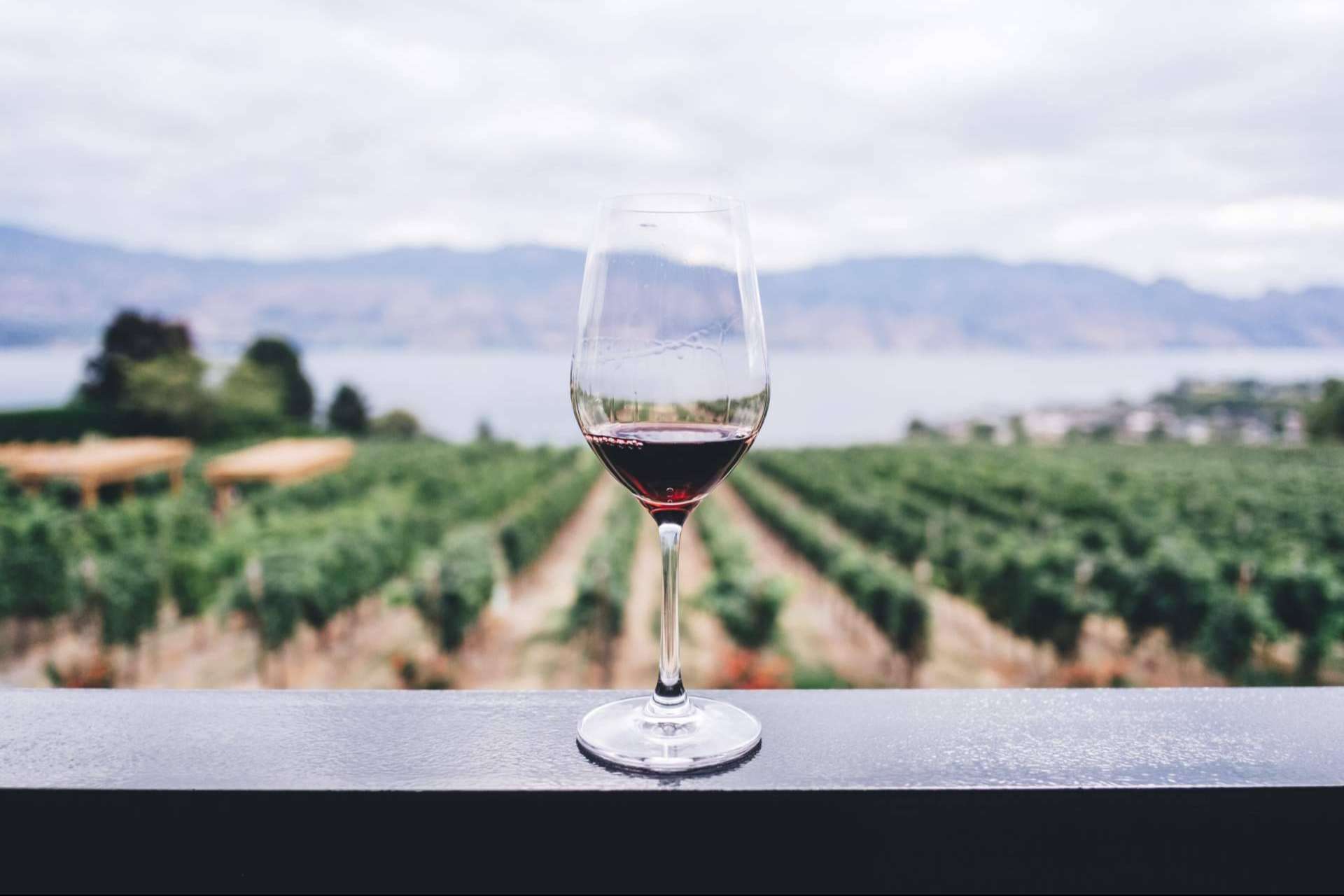 Catas de vino en la Provenza Francesa, de la mano de Planetazur