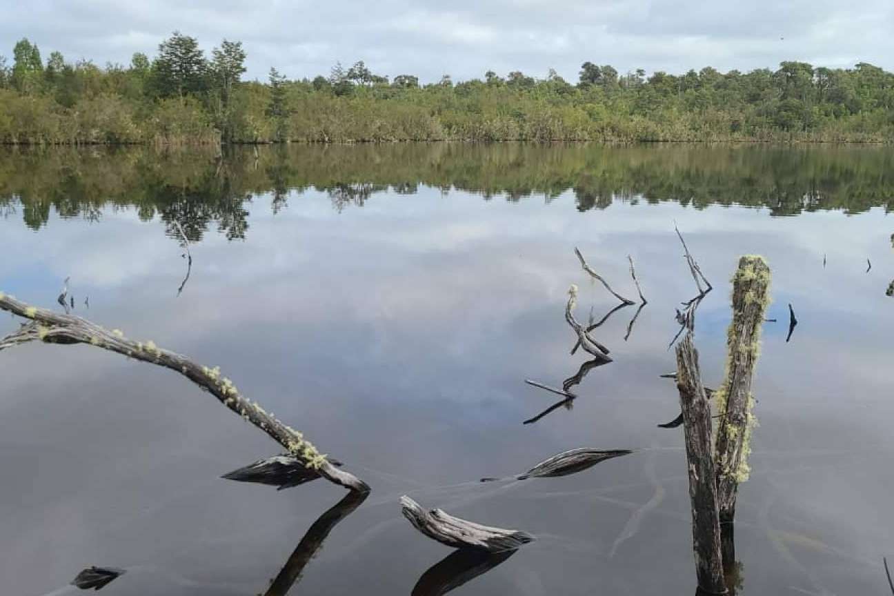 Laguna Quemchi, una firma centrada en la comercialización de terrenos en el sur de Chile