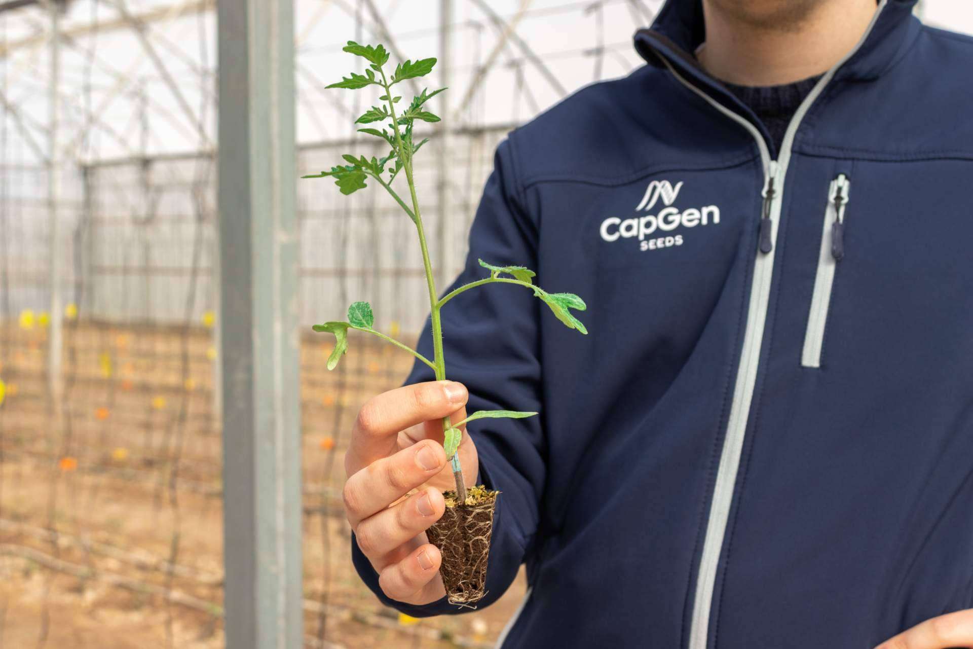CapGen Seeds se encarga de la investigación, desarrollo e innovación en semillas hortícolas