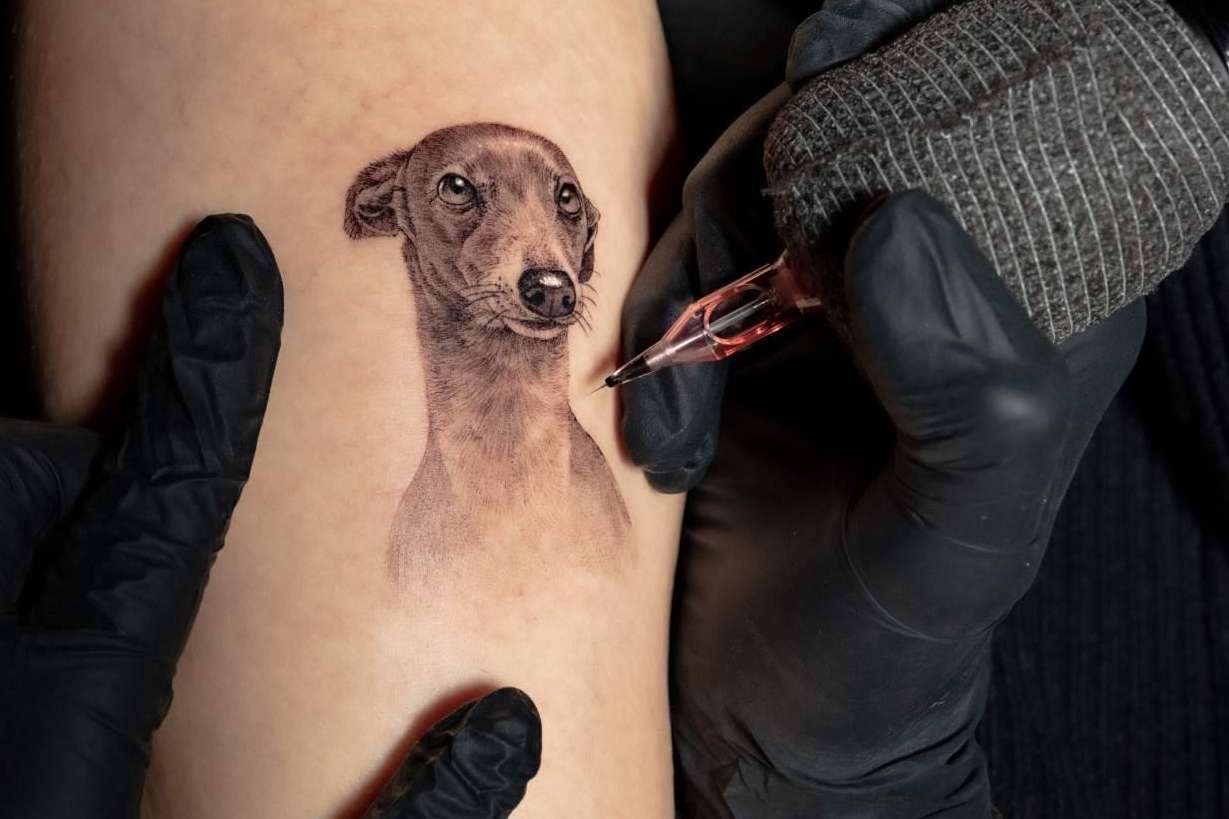 Aprender a tatuar de forma online de la mano de la plataforma Habbility