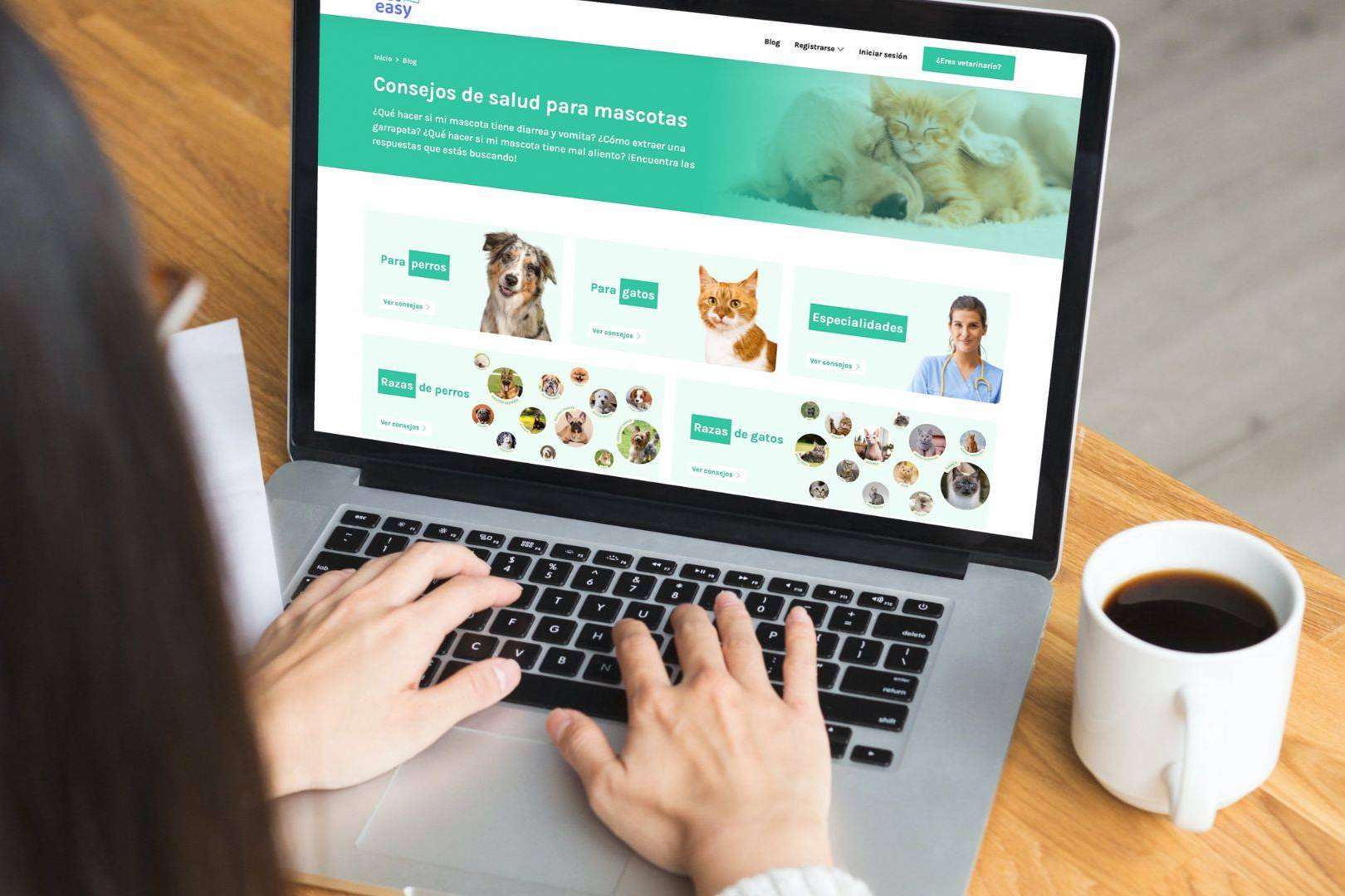 La plataforma VetEasy une a propietarios de mascotas con servicios veterinarios de calidad