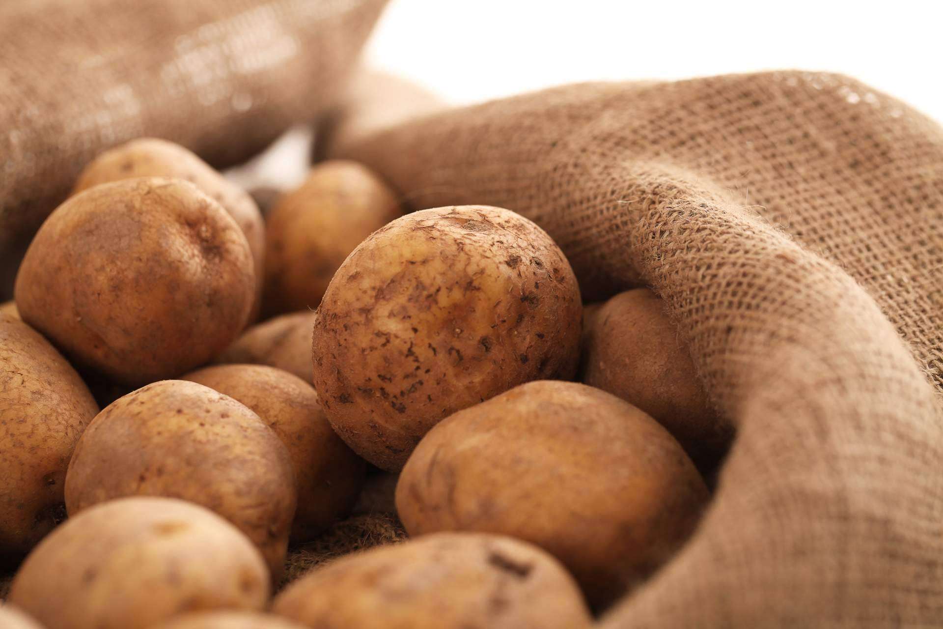 ¿Cuáles son las ventajas de utilizar sacos de rafia en agricultura y ganadería?