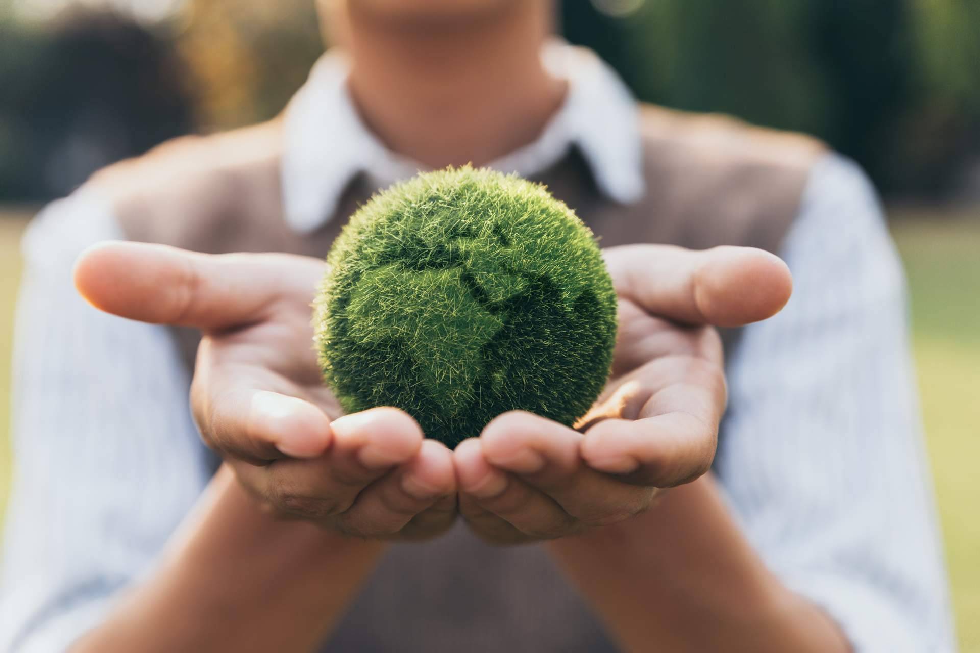 Educación ambiental; la clave para enfrentar el cambio climático y promover la sostenibilidad