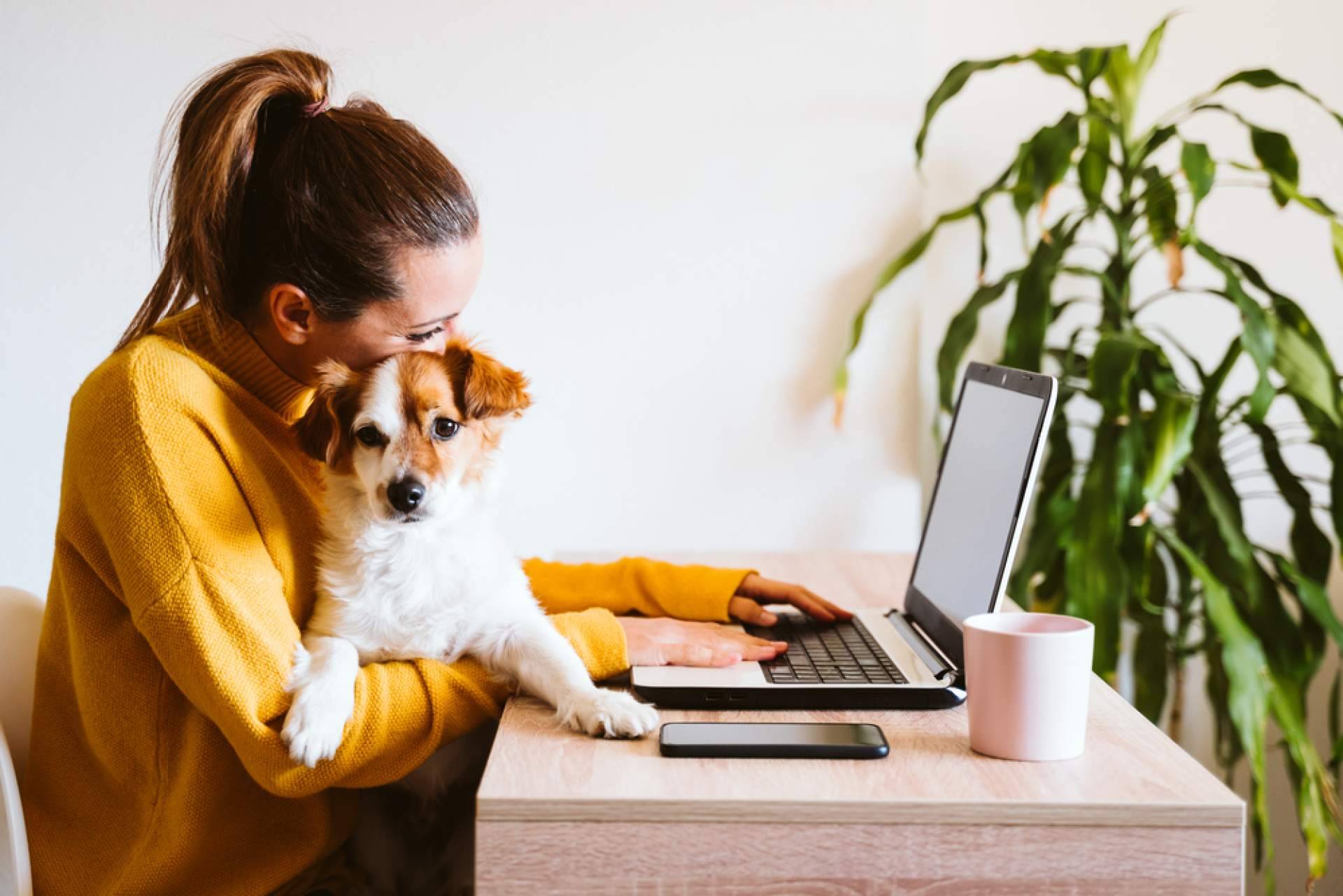 Apoyo Psicológico Online ofrece consejos sobre cómo manejar el estrés laboral de manera efectiva