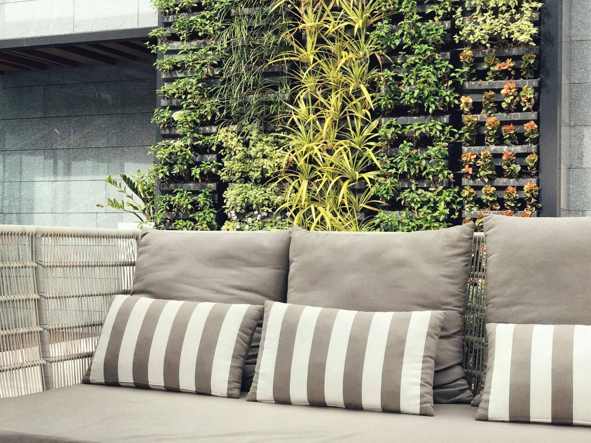 Las ventajas de las plantas de pared colgantes de JardinVertical.es