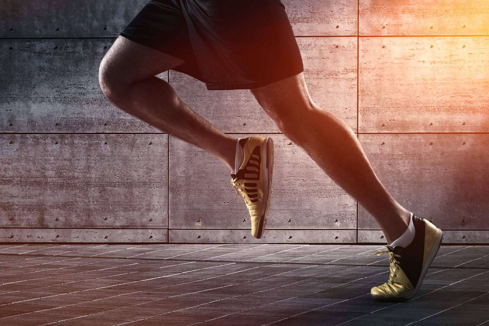 Encontrar suplementos de calidad para potenciar el rendimiento físico en Nutridos.com