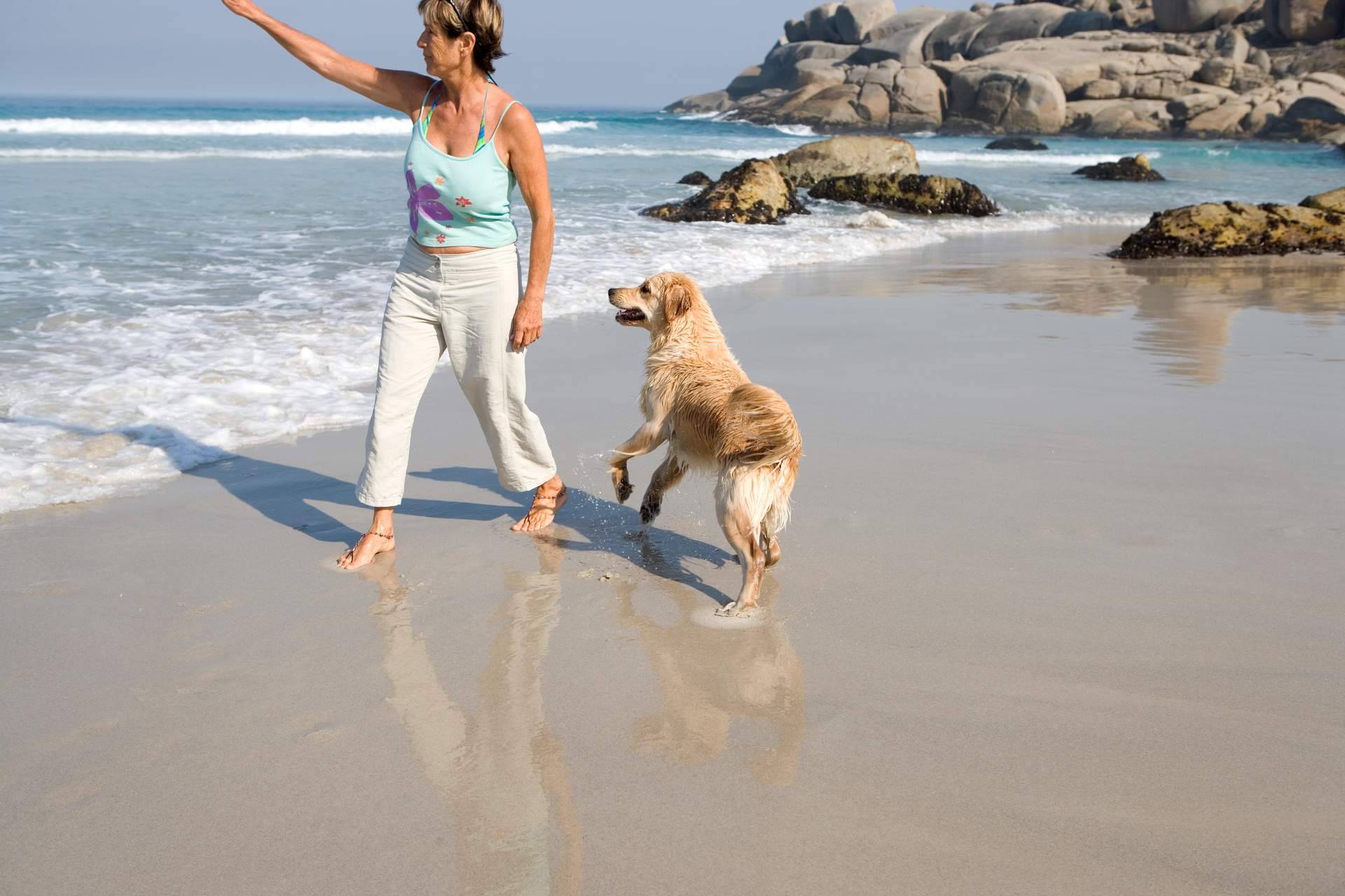 Encontrar los mejores sitios para disfrutar con el perro de la mano del buscador pet friendly de ADOPTA