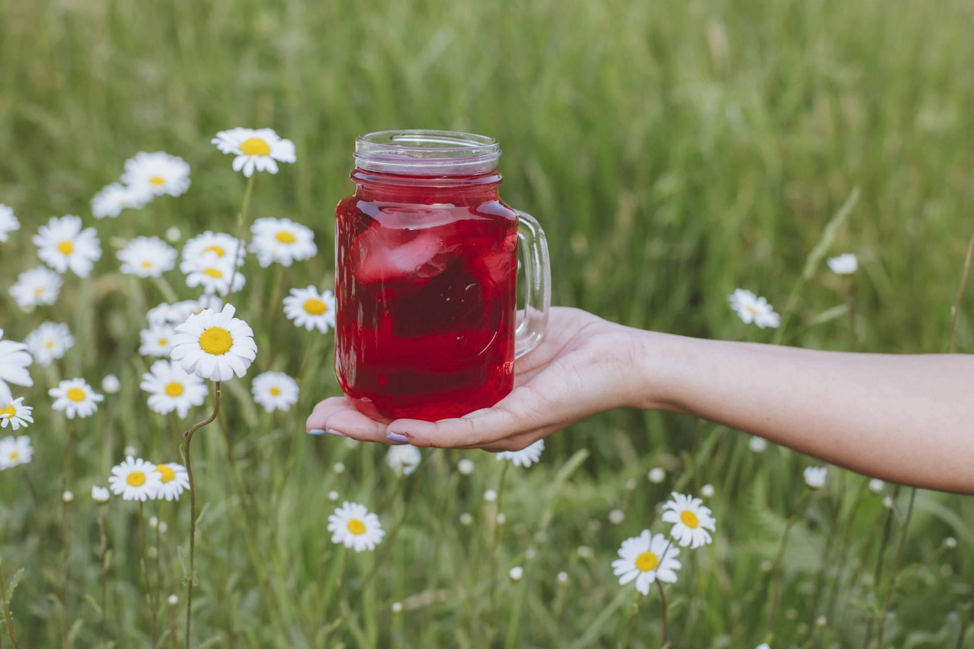Preparar tés e infusiones frías perfectas con Tetereta