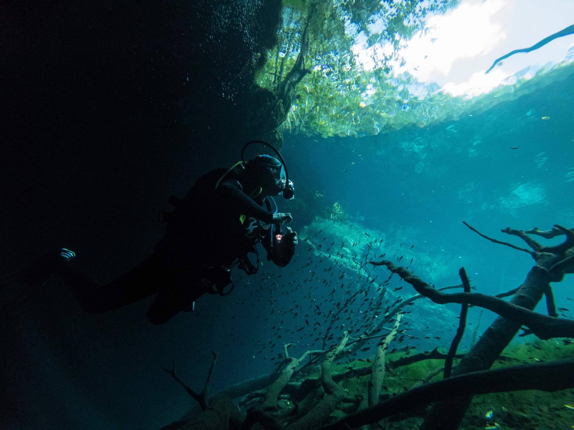 El lugar perfecto para hacer el curso Open Water Diver PADI de la mano de Underwater Barcelona son las playas de Barcelona