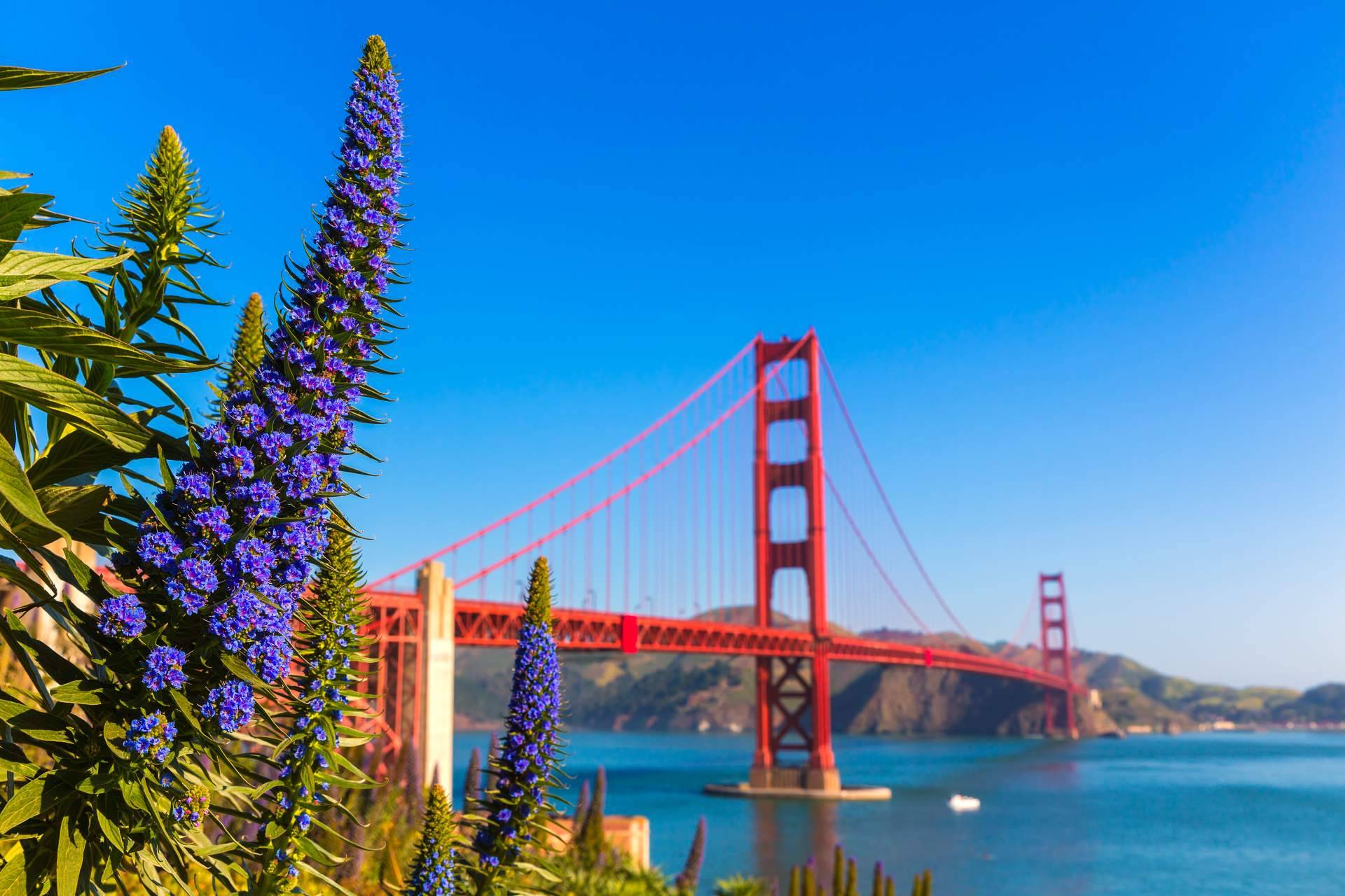 Descubrir la majestuosidad de los Parques Nacionales del Oeste de Estados Unidos con City Tours USA