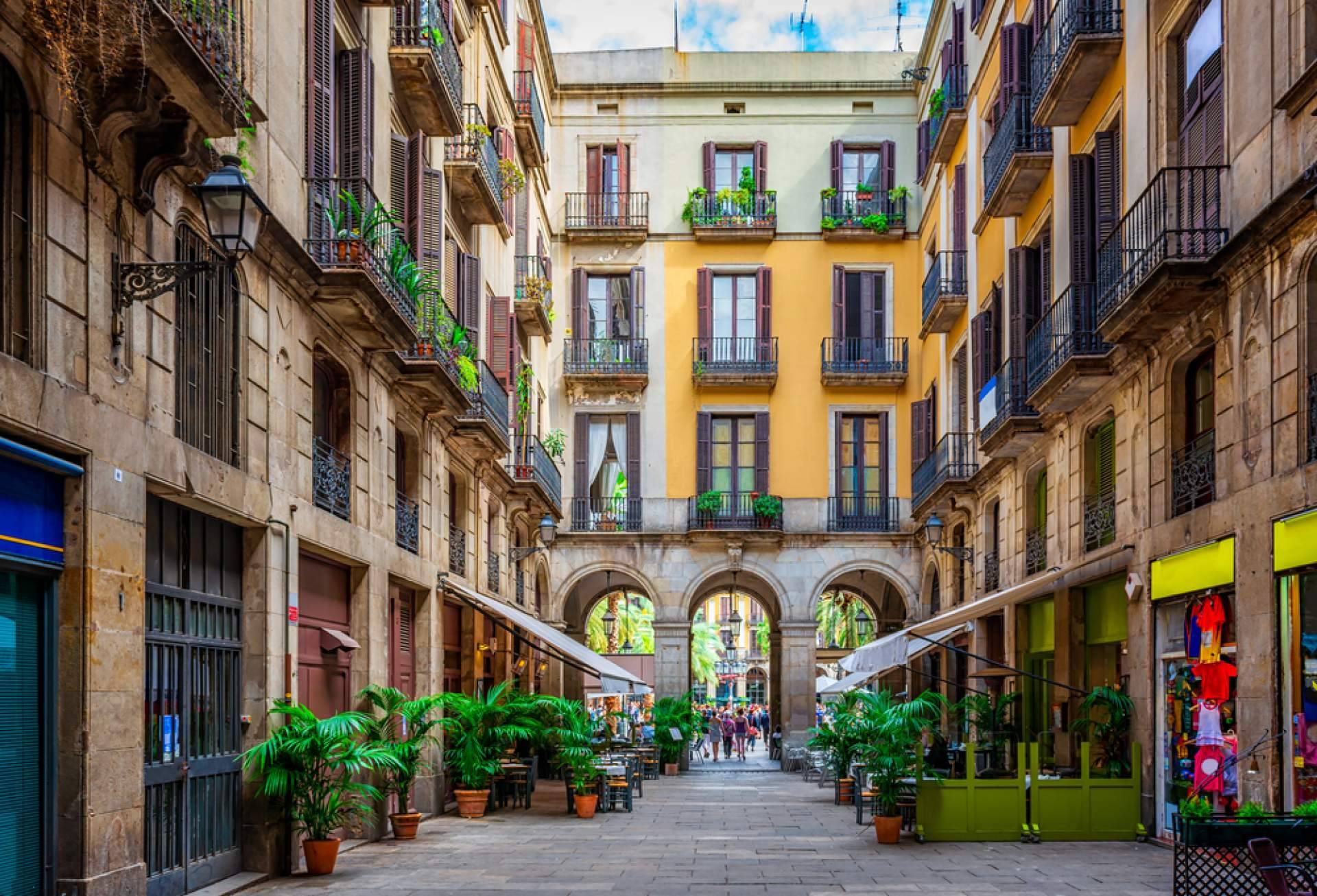 La importancia de las visitas a medida y las propuestas de Barcelonina
