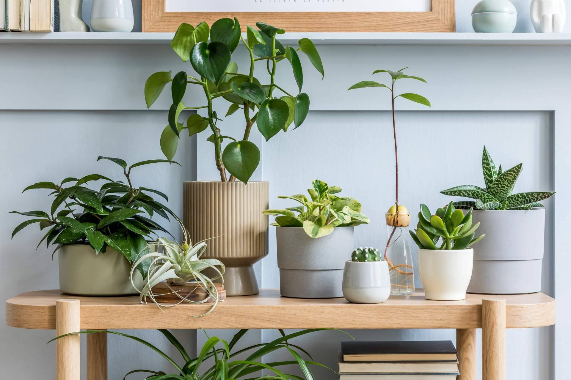 Hogar y Más presenta sus innovadoras propuestas de decoración exterior para disfrutar del verano