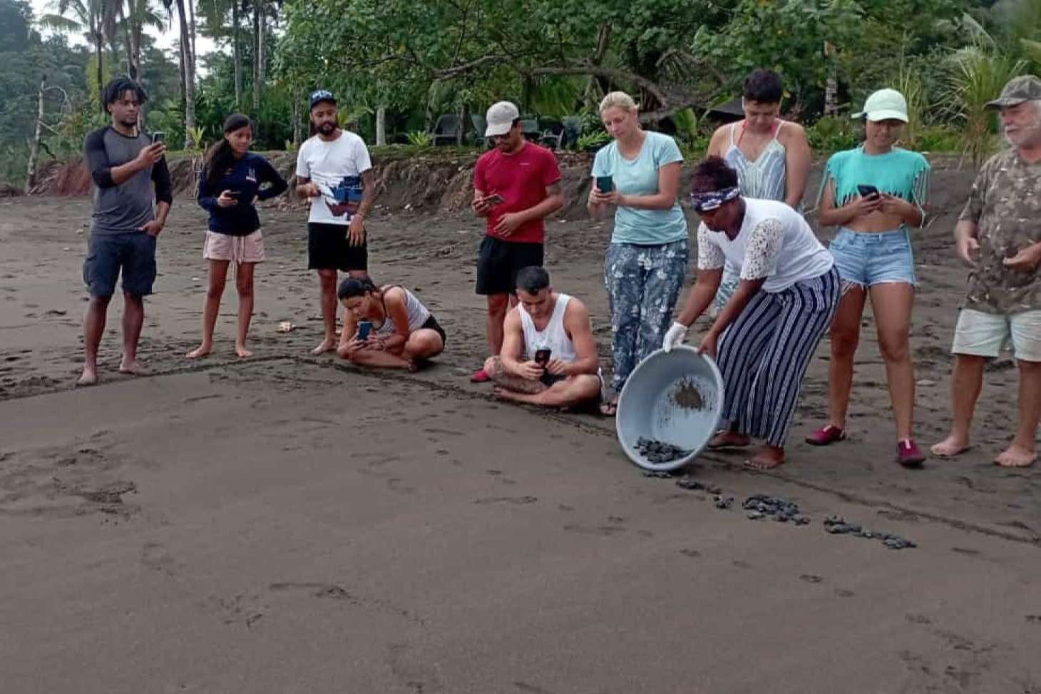 Una manera de vivir voluntariados ambientales internacionales, de la mano de ONGVoluntariado