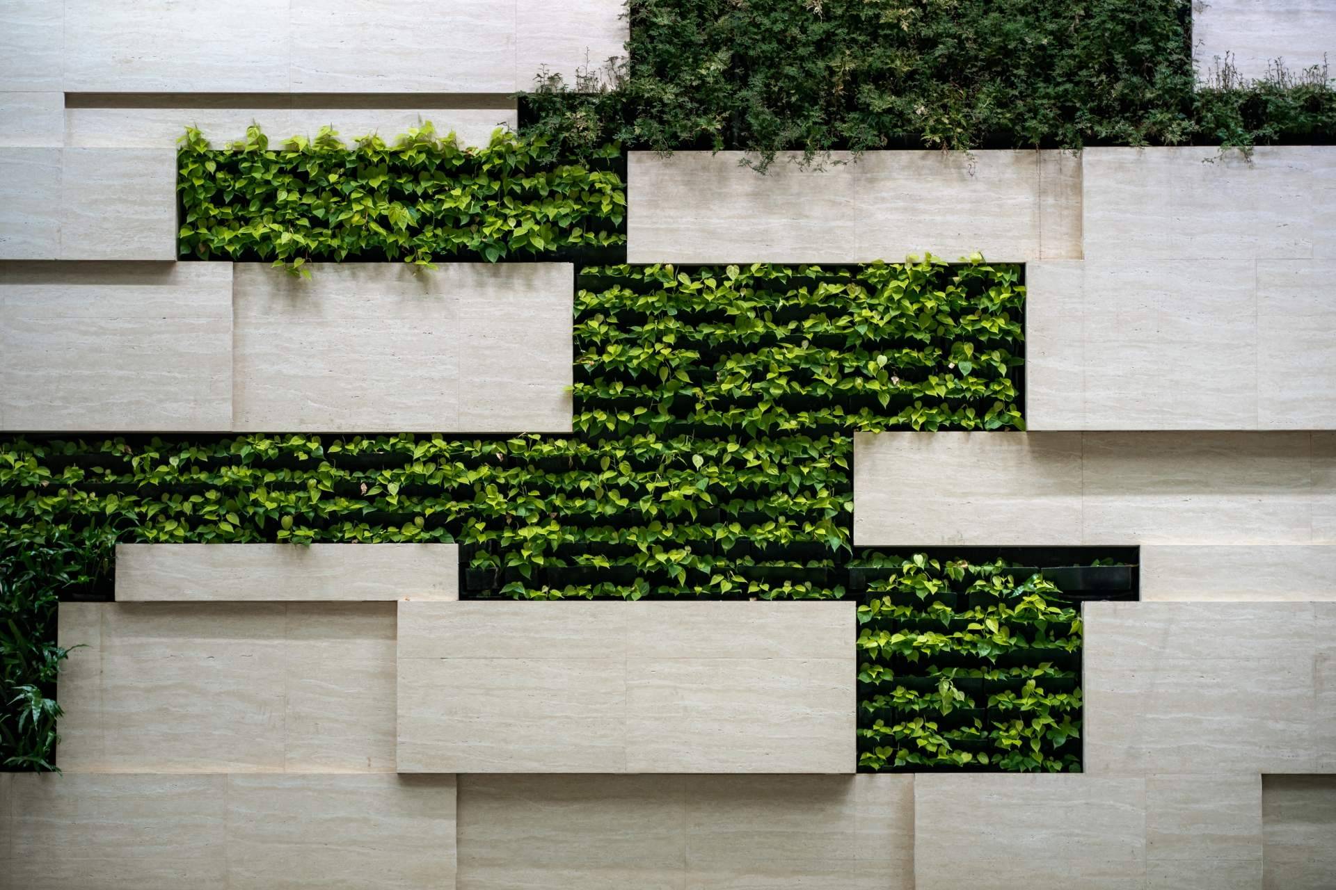 ¿Dónde adquirir un jardín vertical artificial en oferta? JardinVertical.es