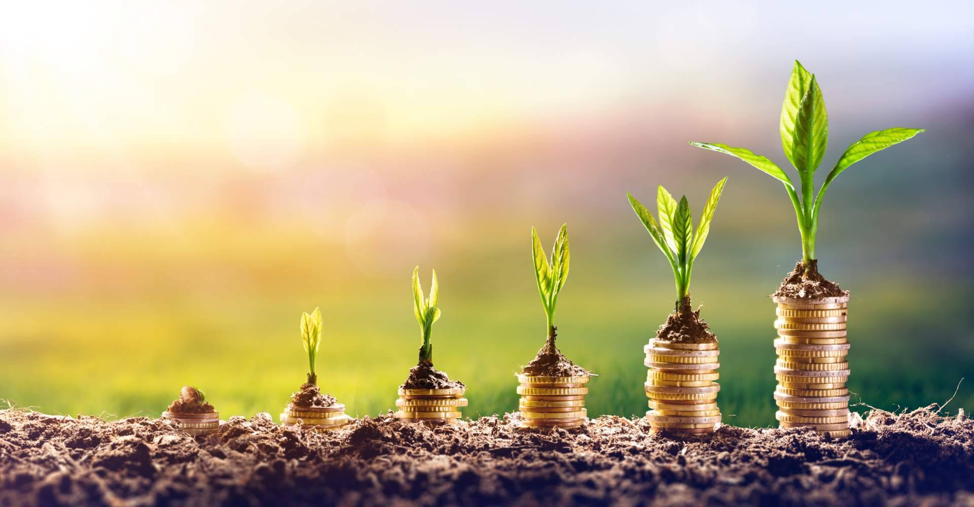 ¿Por qué contar con un arquitecto para la inversión inmobiliaria?