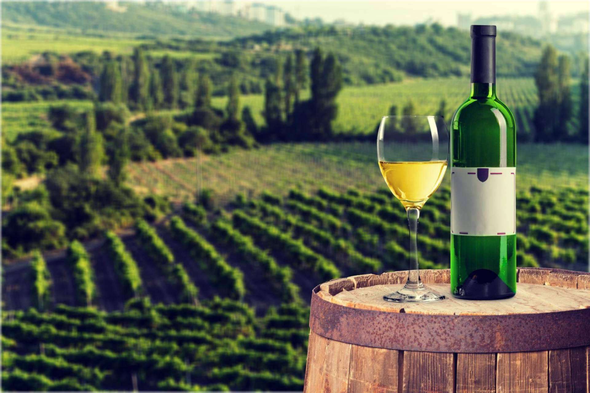 Llega la tecnología que evitará las multas a las bodegas