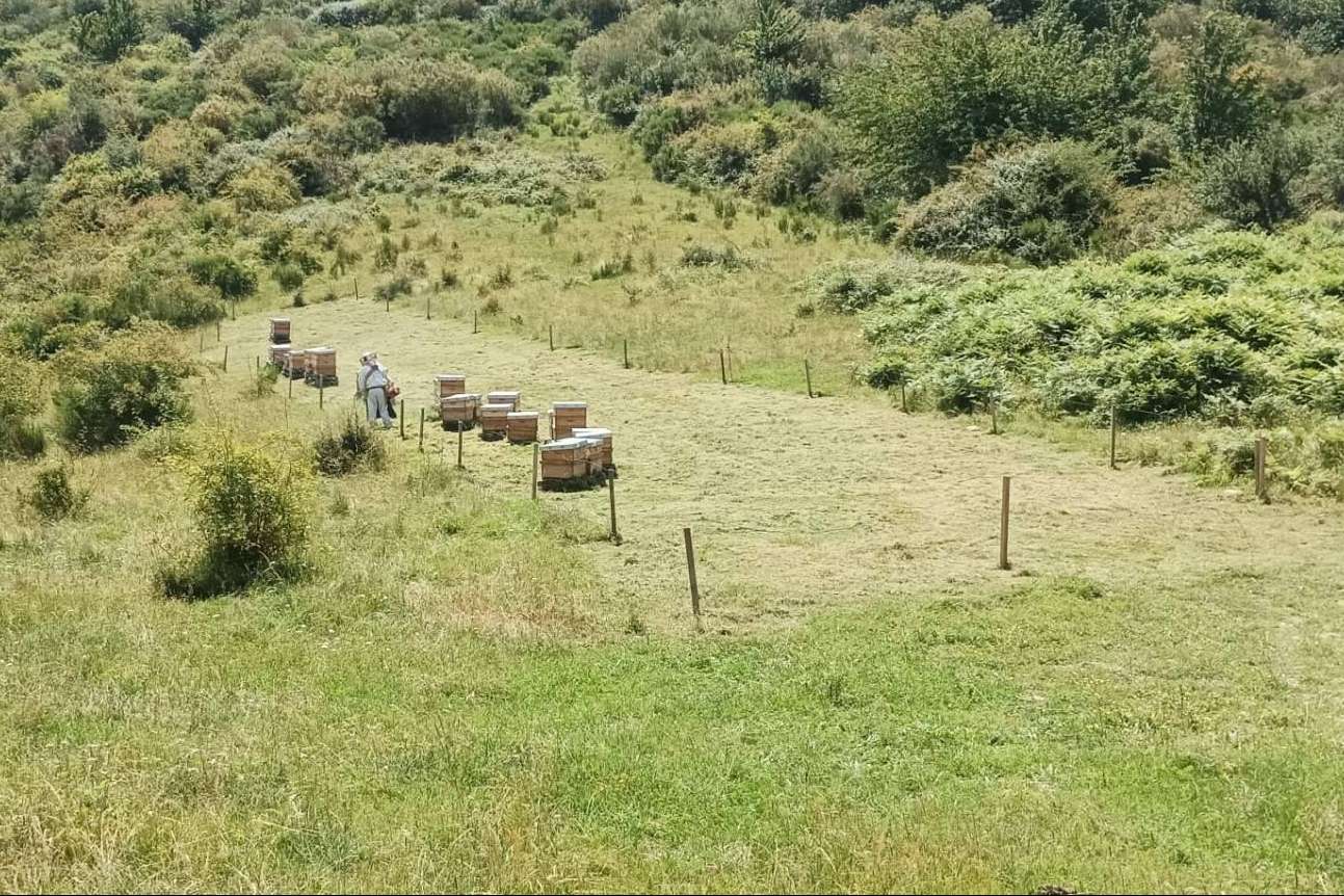 Apícola del Bierzo, la miel de la excelencia