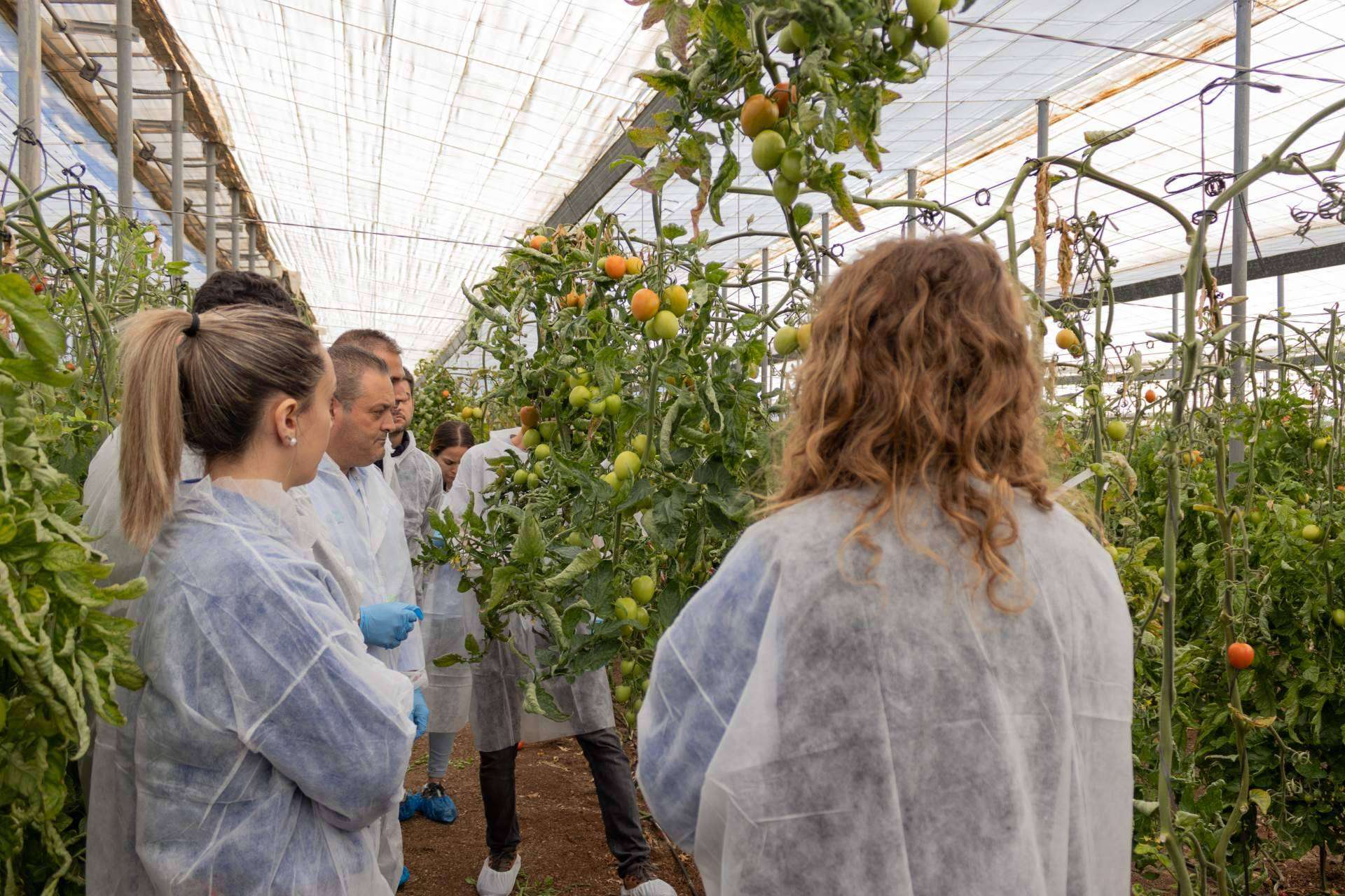 CapGen Seeds experimenta un incremento del 18 % en la producción de sus variedades hortícolas gracias al aumento de las ventas nacionales e internacionales